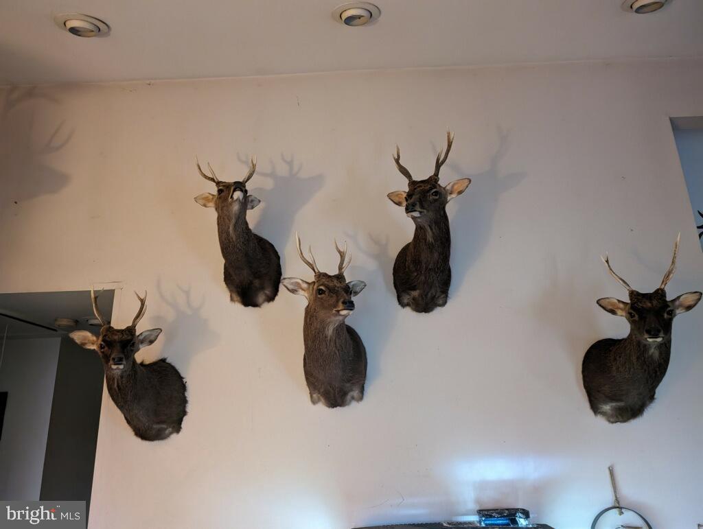 NONE AVAILABLE - Land