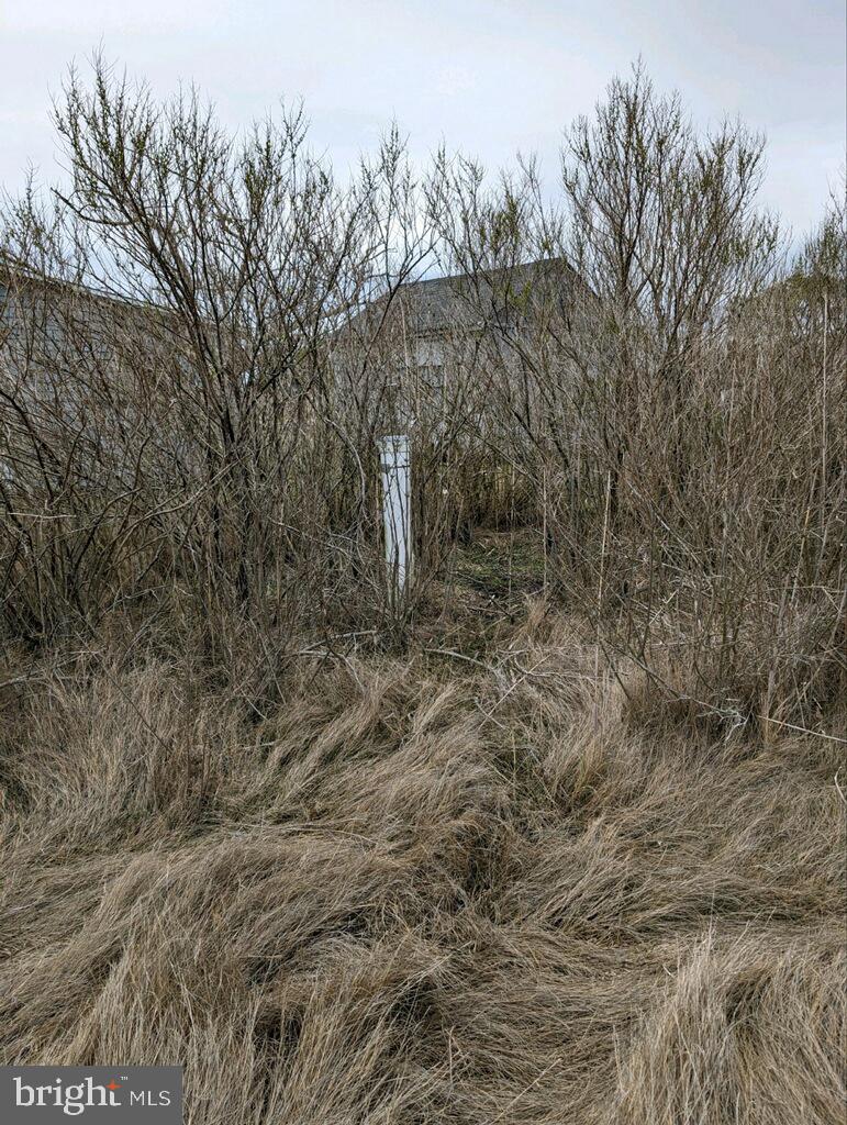 NONE AVAILABLE - Land