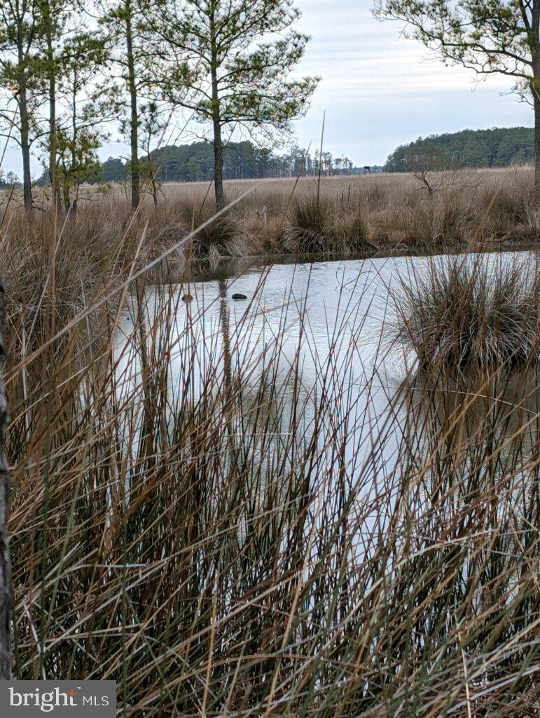 NONE AVAILABLE - Land