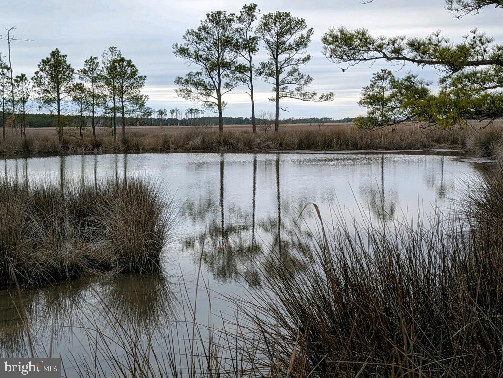 NONE AVAILABLE - Land