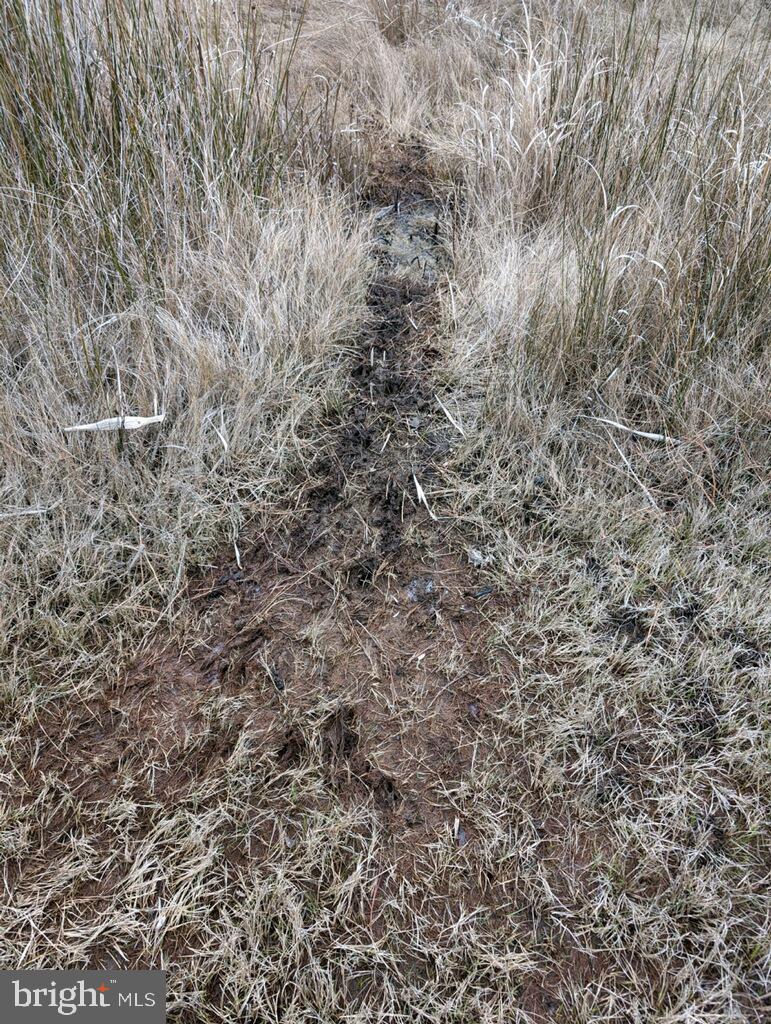 NONE AVAILABLE - Land