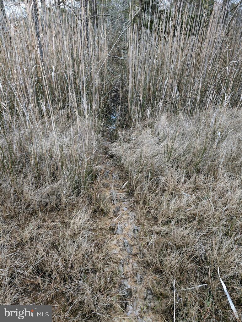 NONE AVAILABLE - Land