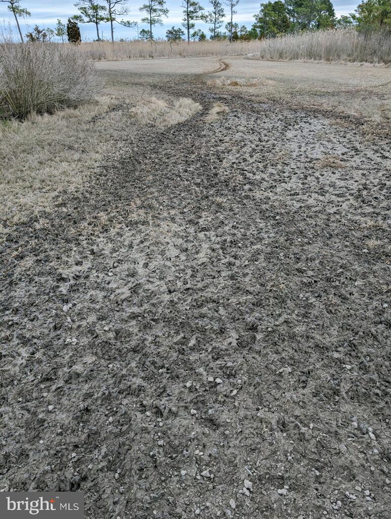 NONE AVAILABLE - Land