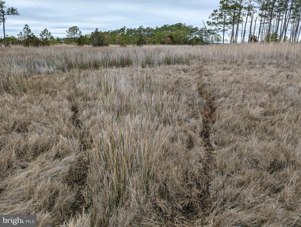 NONE AVAILABLE - Land