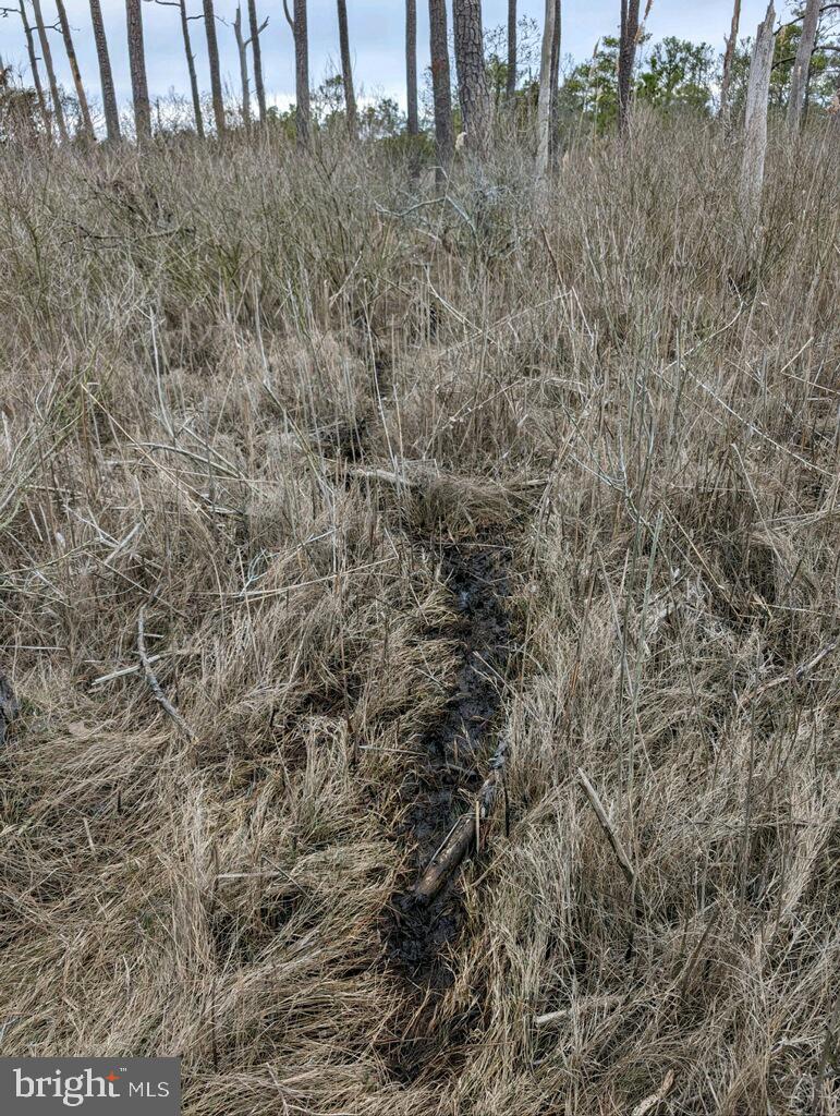 NONE AVAILABLE - Land