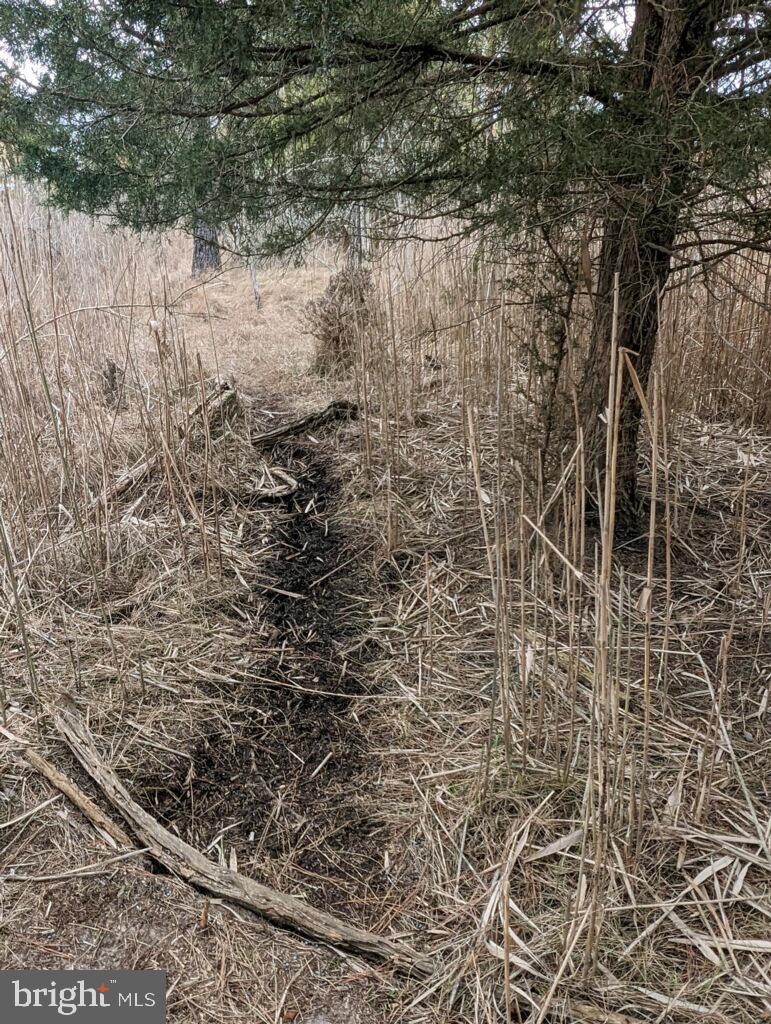 NONE AVAILABLE - Land