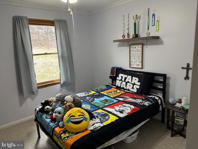 FERNDALE FARMS - Residential