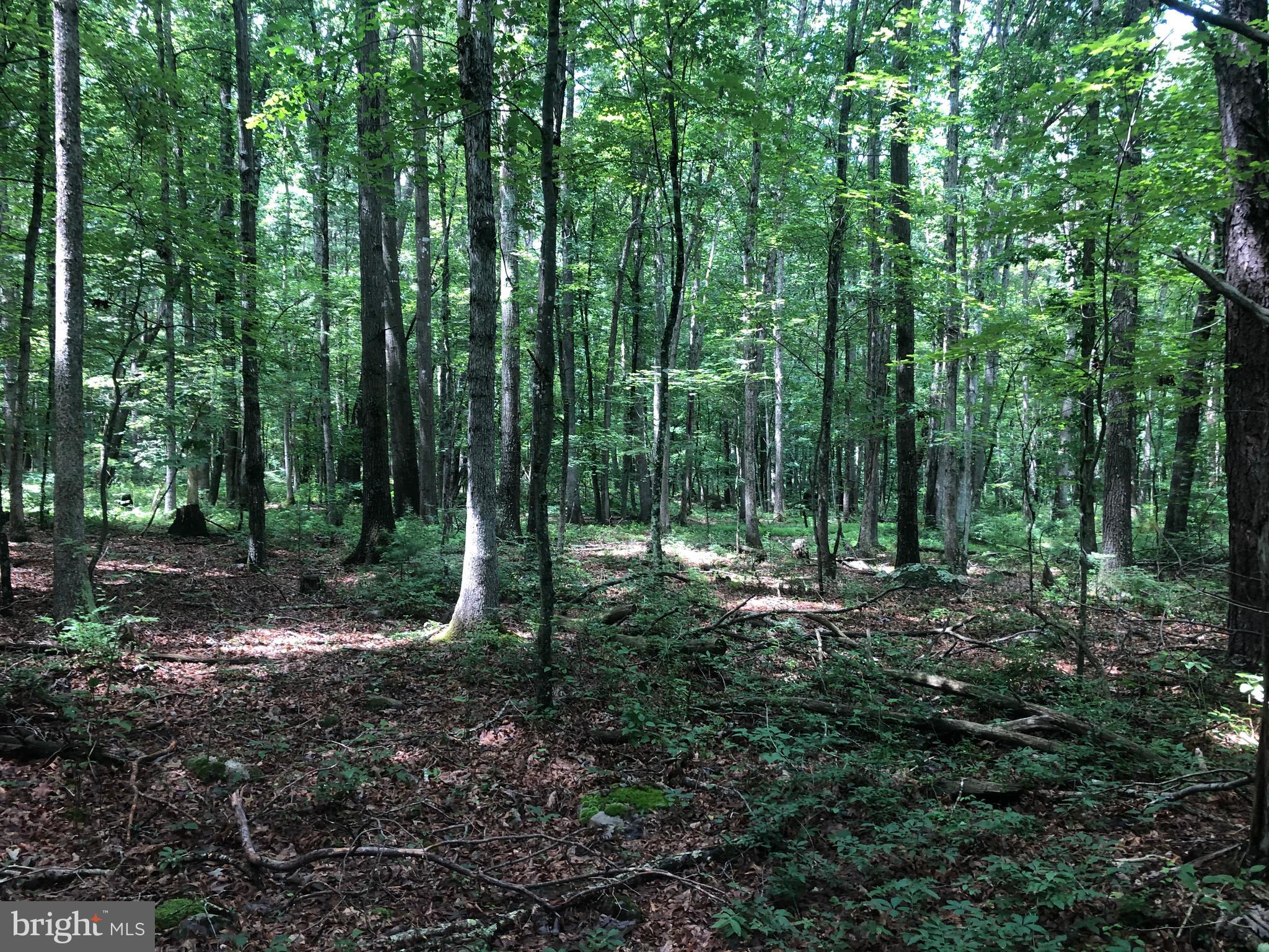 NONE UNRESTRICTED - Land