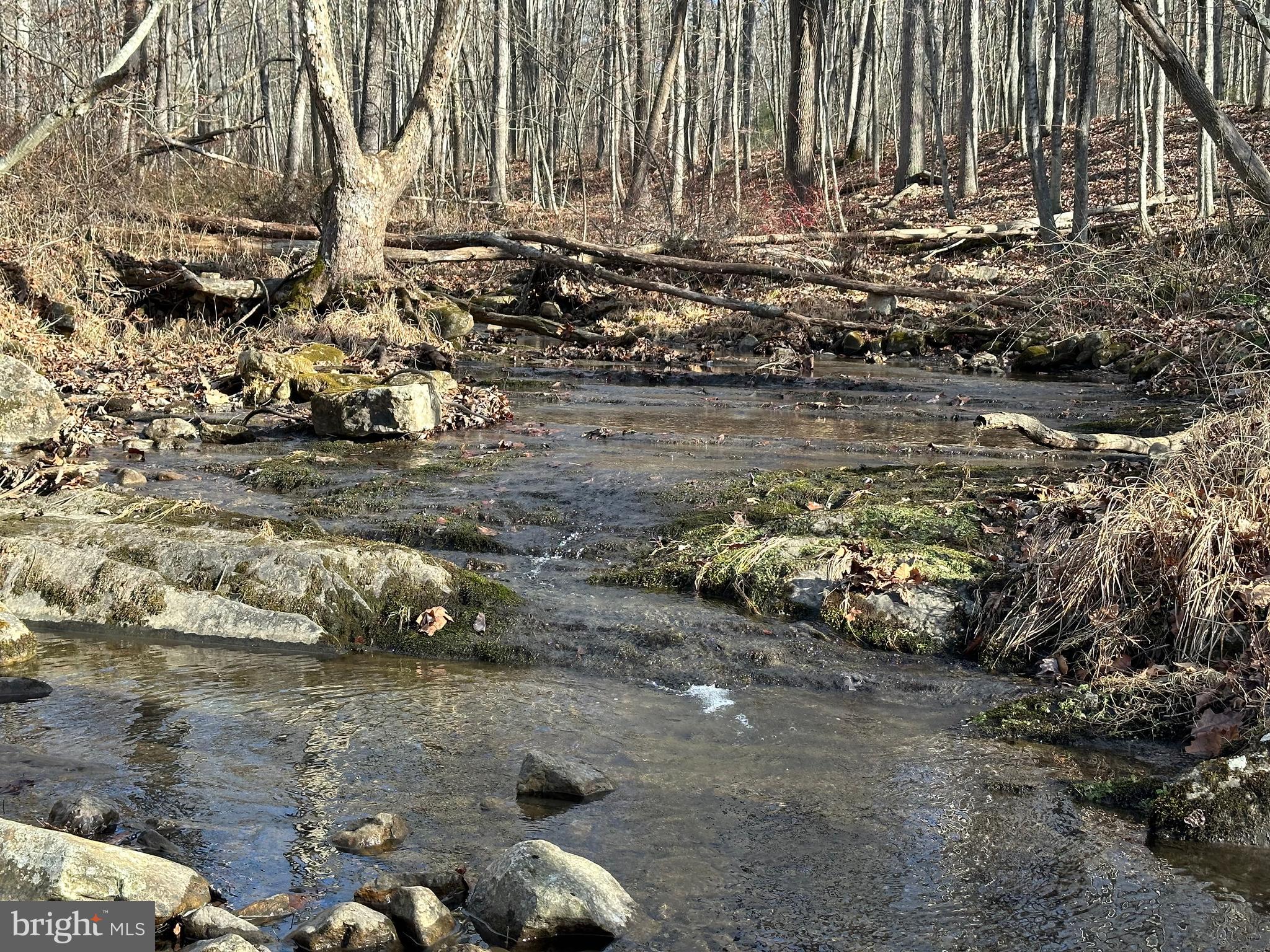 NONE UNRESTRICTED - Land