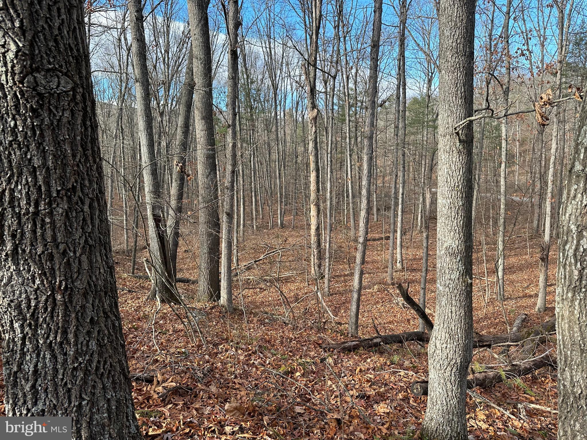 NONE UNRESTRICTED - Land