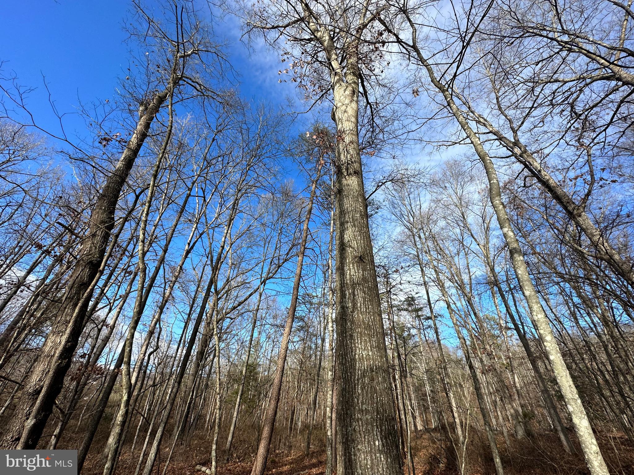 NONE UNRESTRICTED - Land