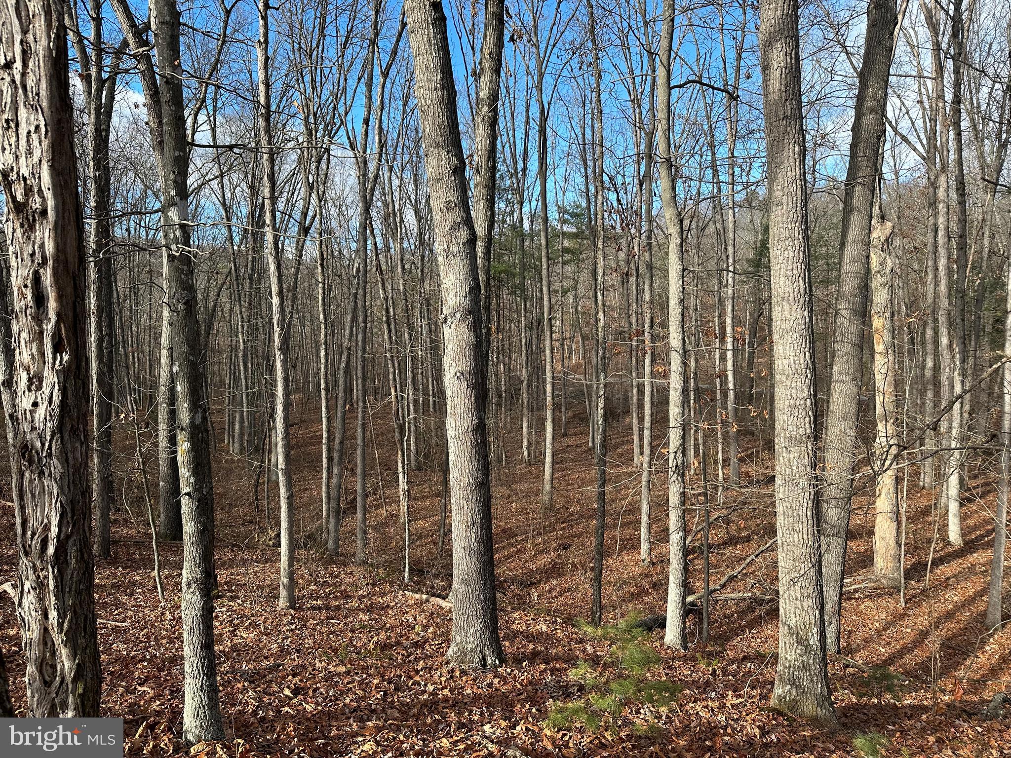 NONE UNRESTRICTED - Land