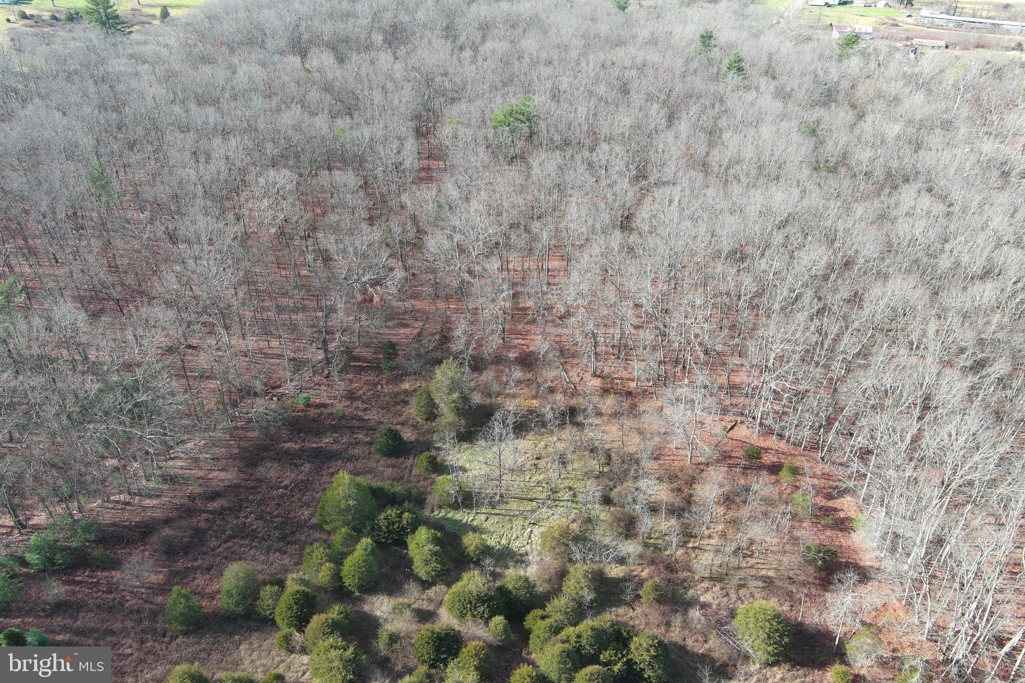 NONE UNRESTRICTED - Land