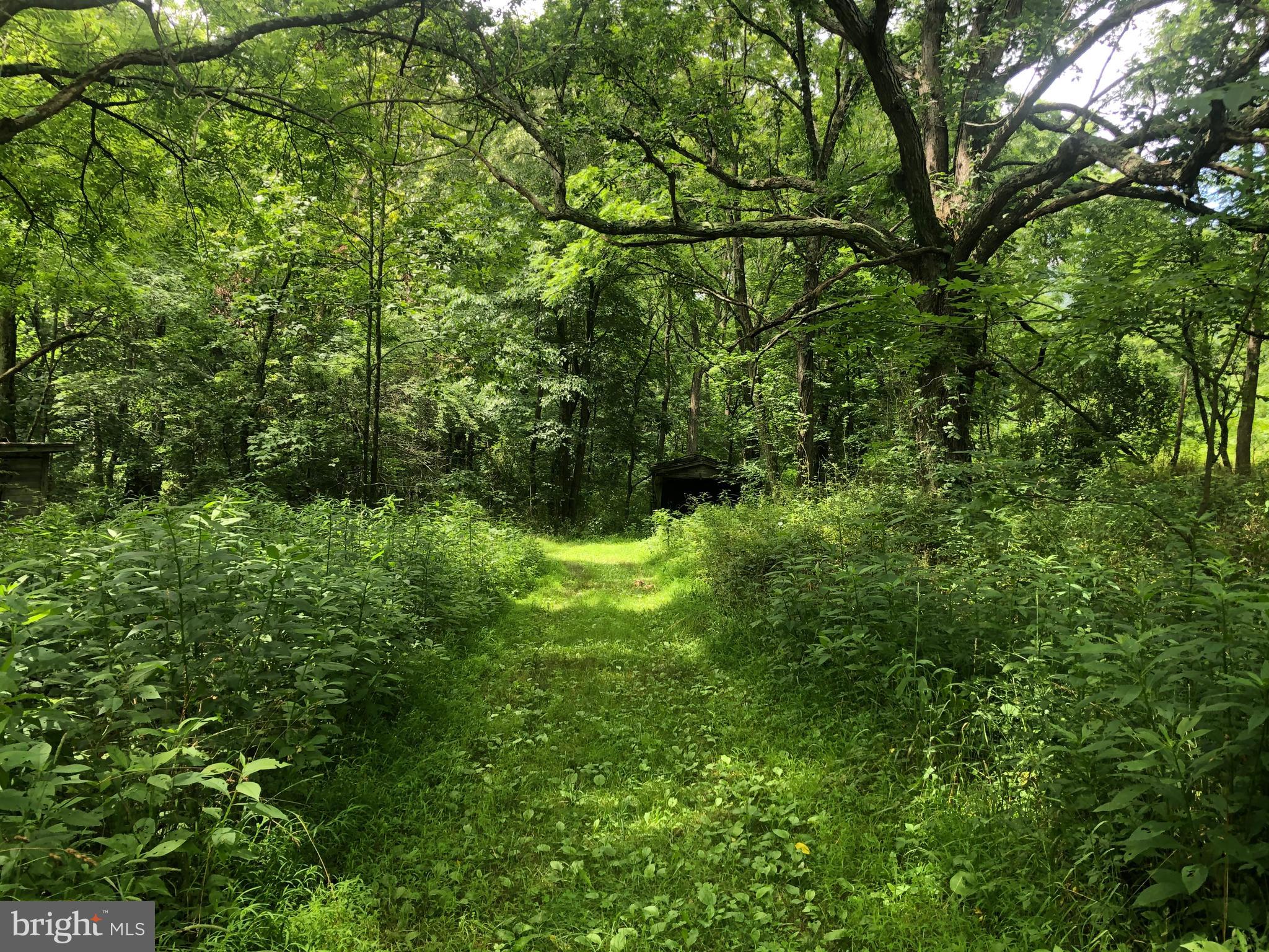 NONE UNRESTRICTED - Land