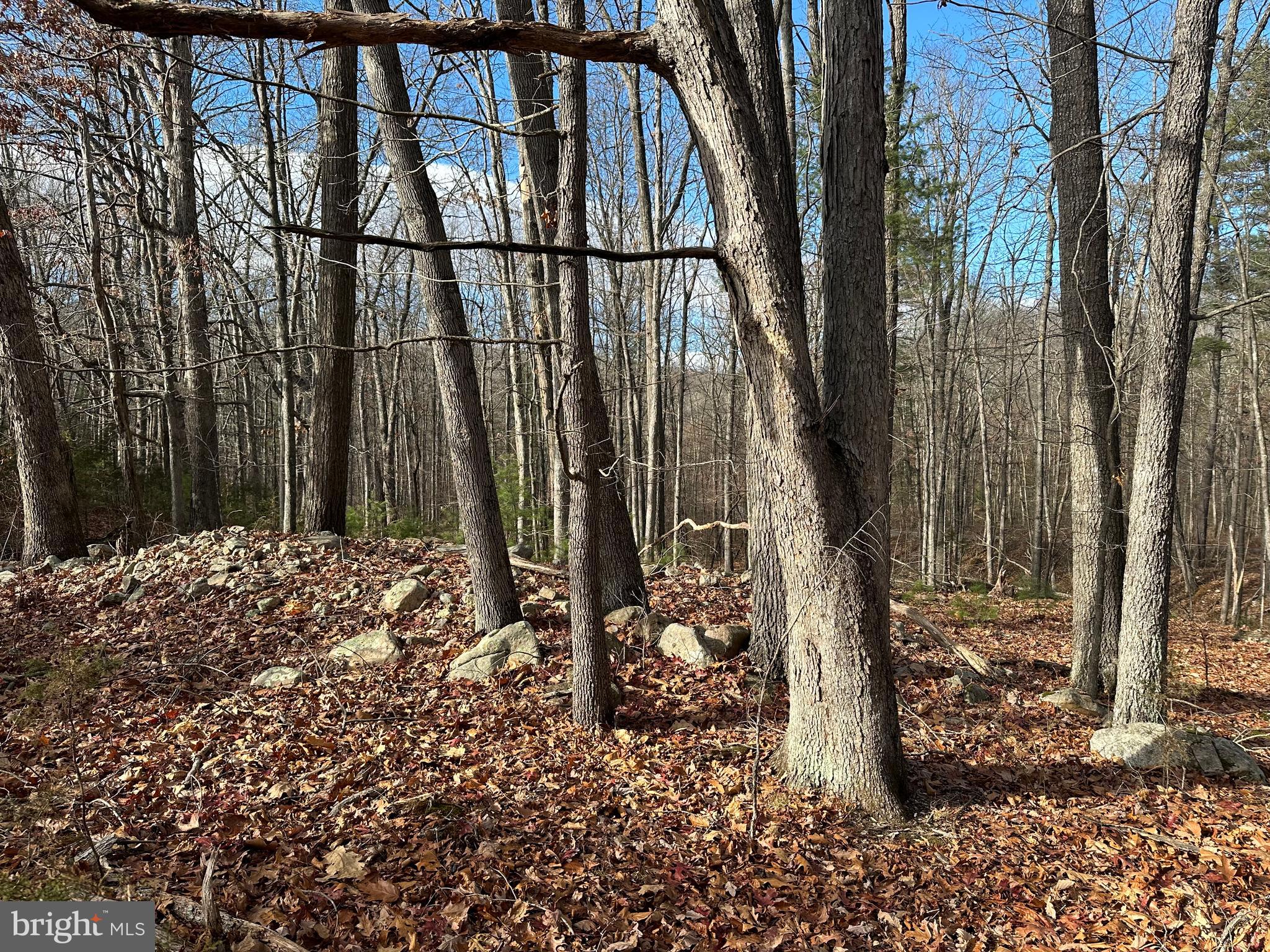 NONE UNRESTRICTED - Land