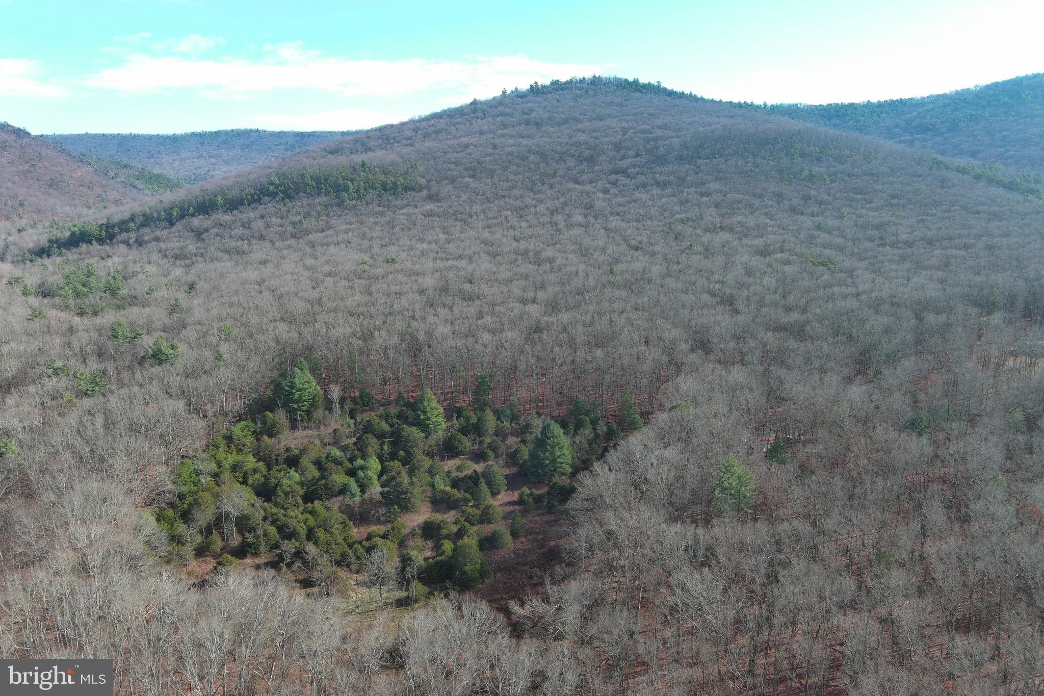 NONE UNRESTRICTED - Land