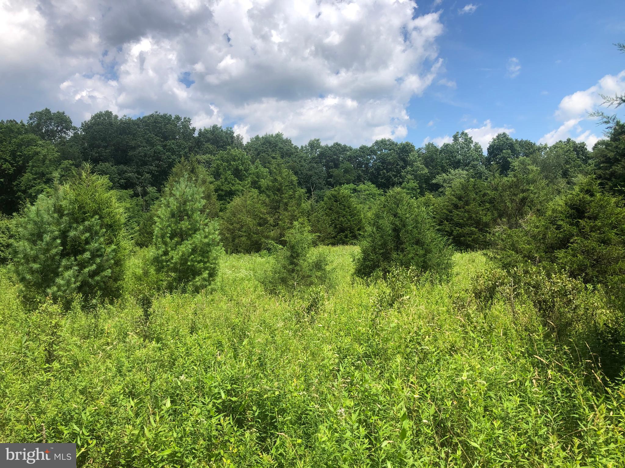 NONE UNRESTRICTED - Land