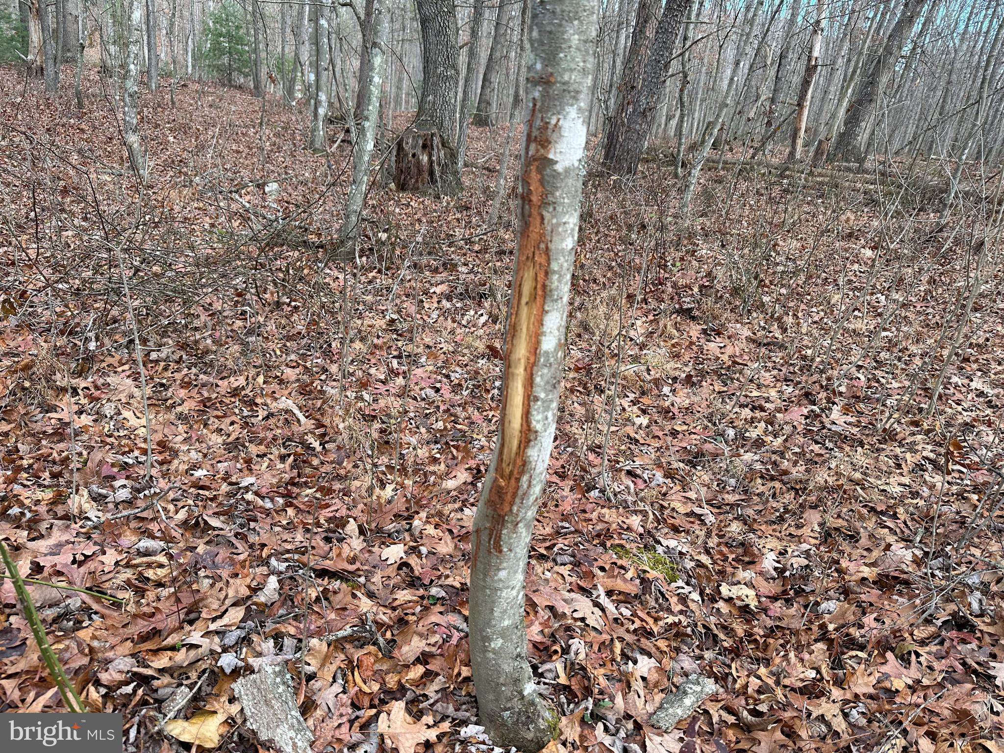 NONE UNRESTRICTED - Land