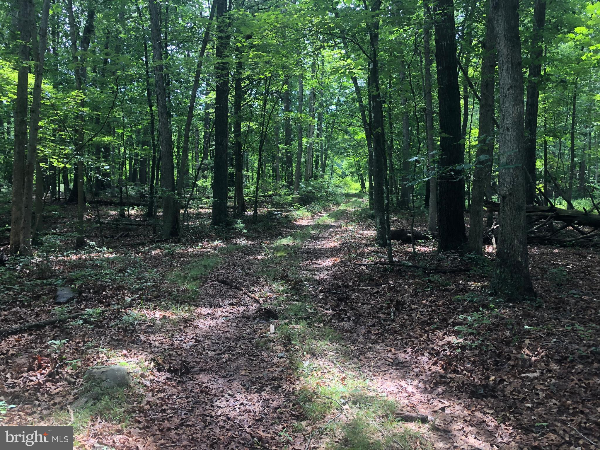 NONE UNRESTRICTED - Land