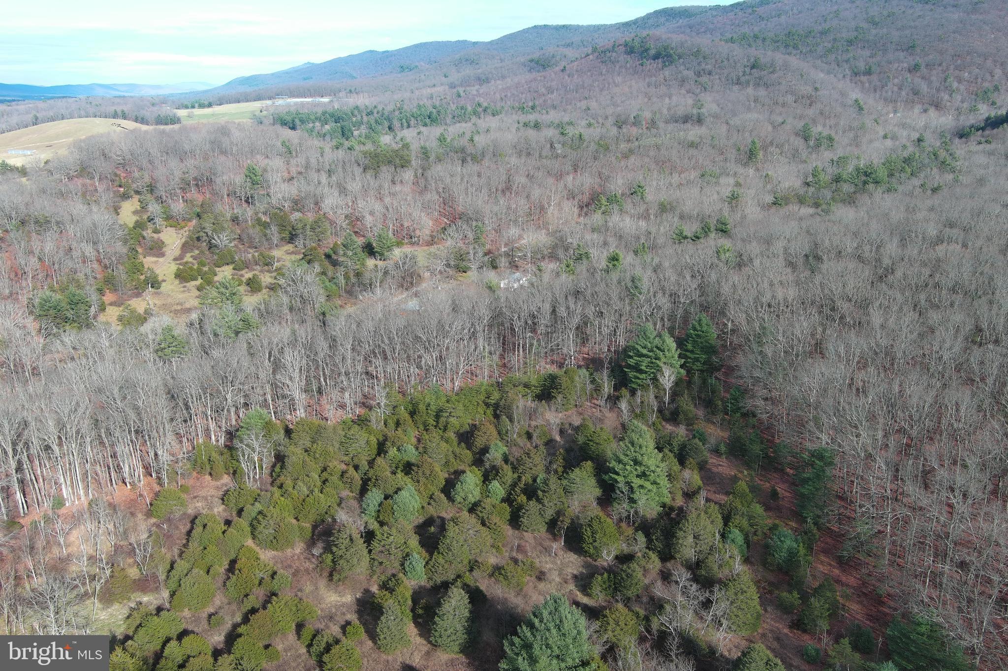 NONE UNRESTRICTED - Land