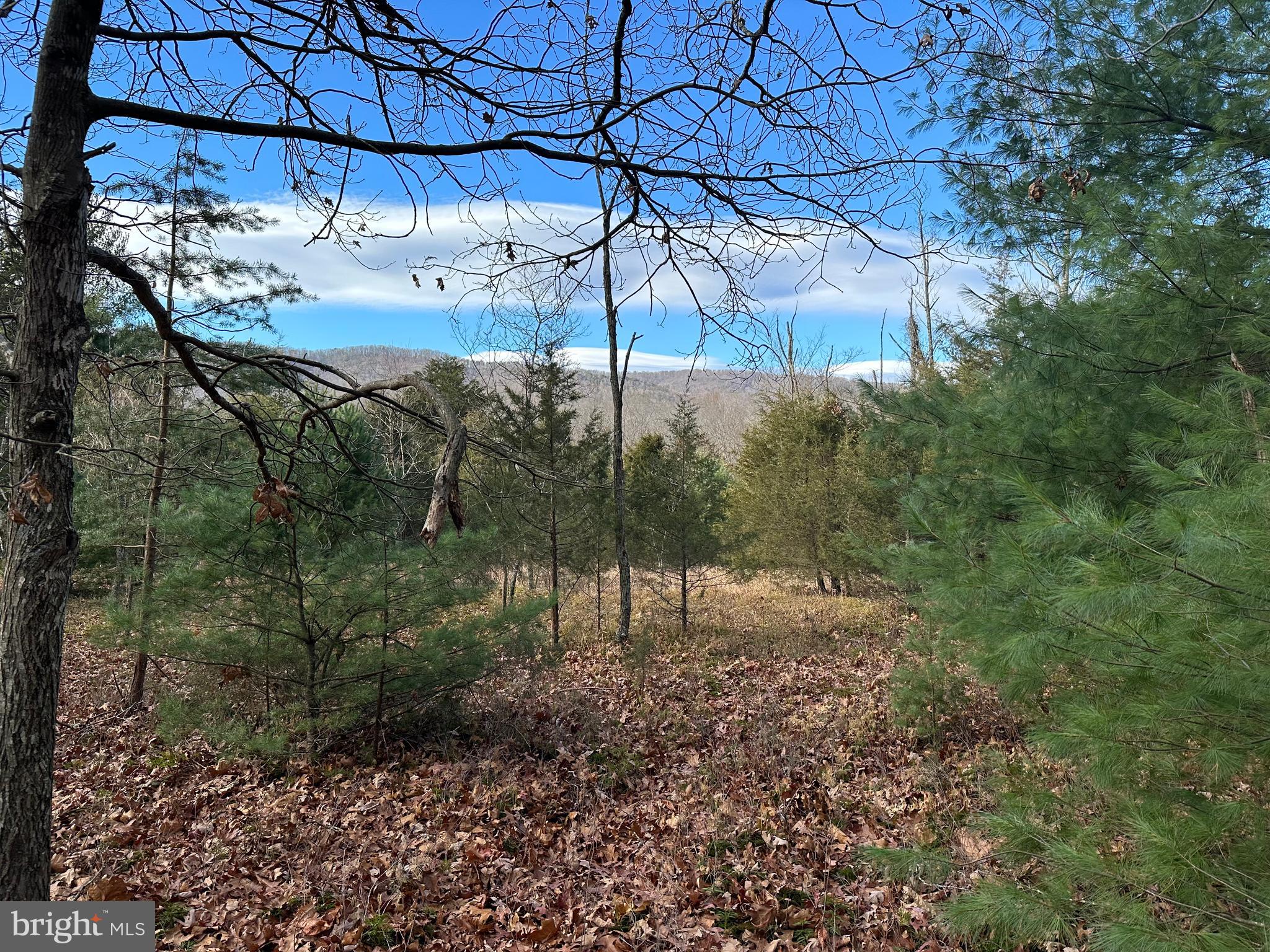 NONE UNRESTRICTED - Land