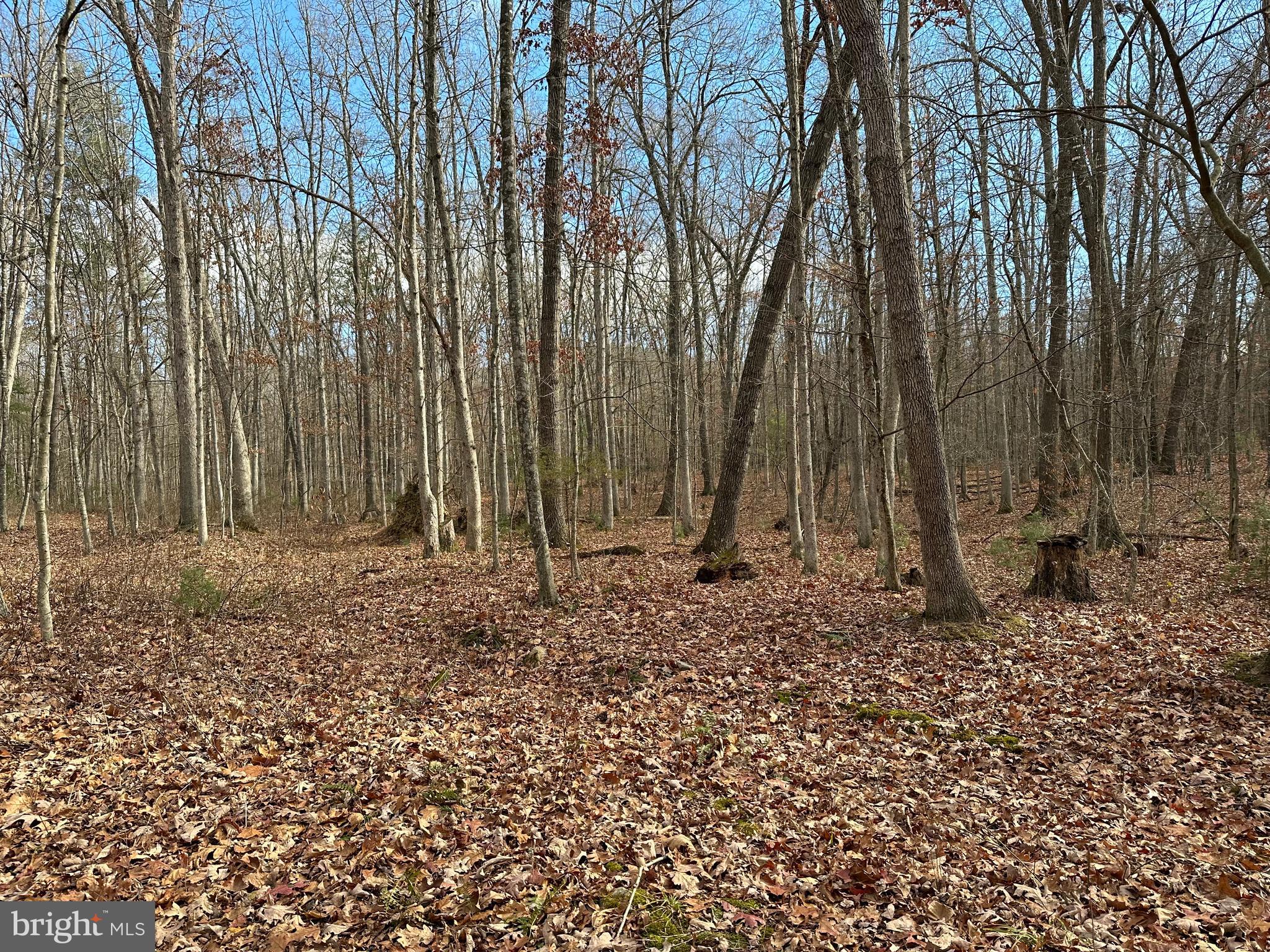 NONE UNRESTRICTED - Land