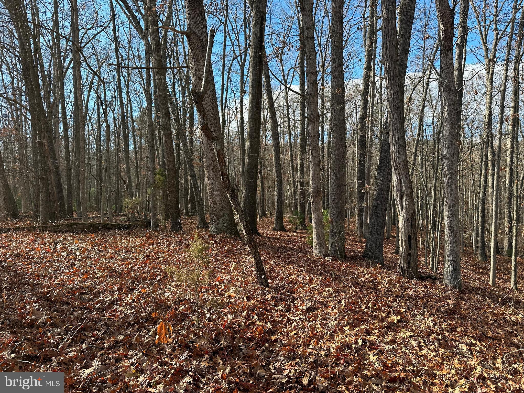 NONE UNRESTRICTED - Land