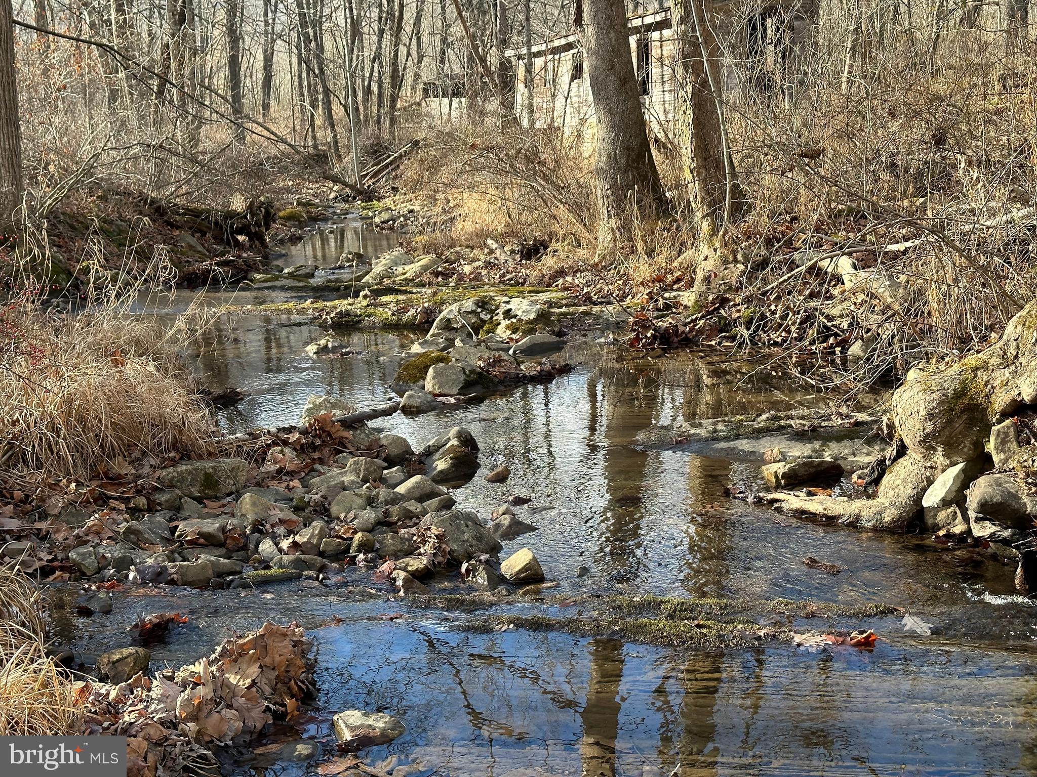 NONE UNRESTRICTED - Land