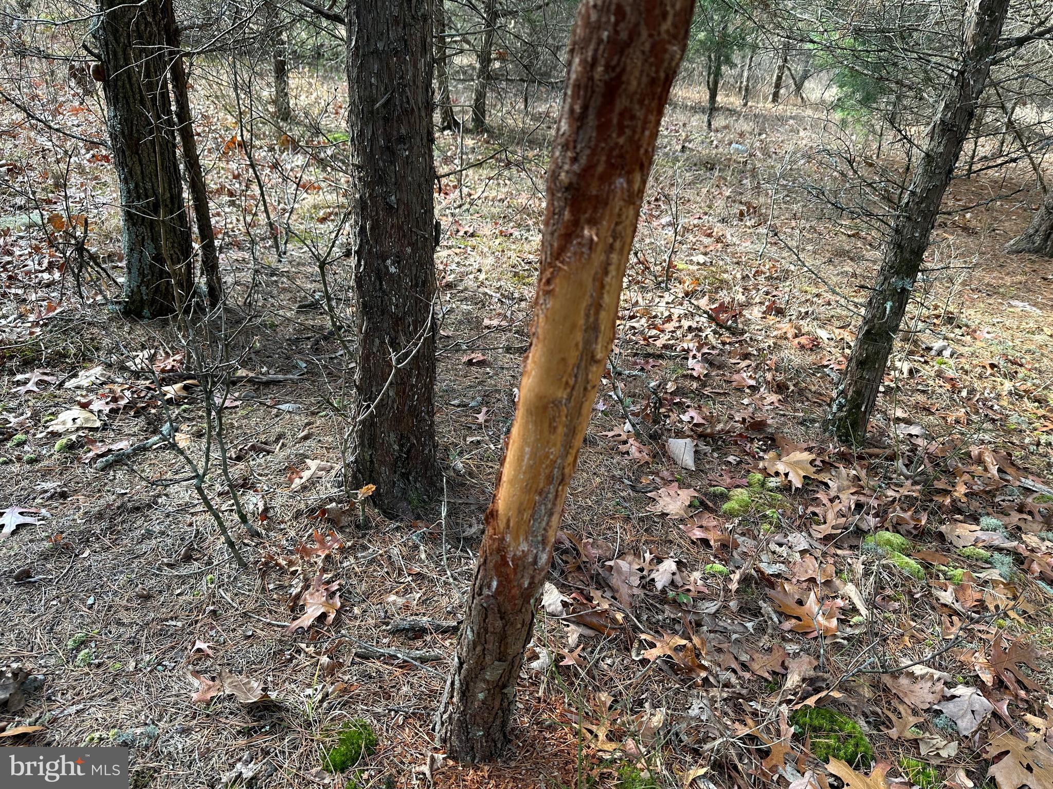 NONE UNRESTRICTED - Land