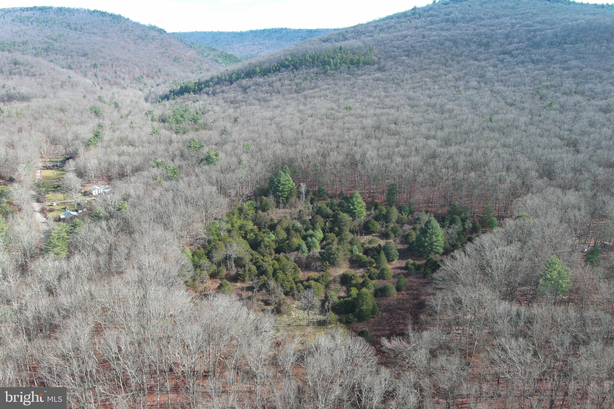 NONE UNRESTRICTED - Land