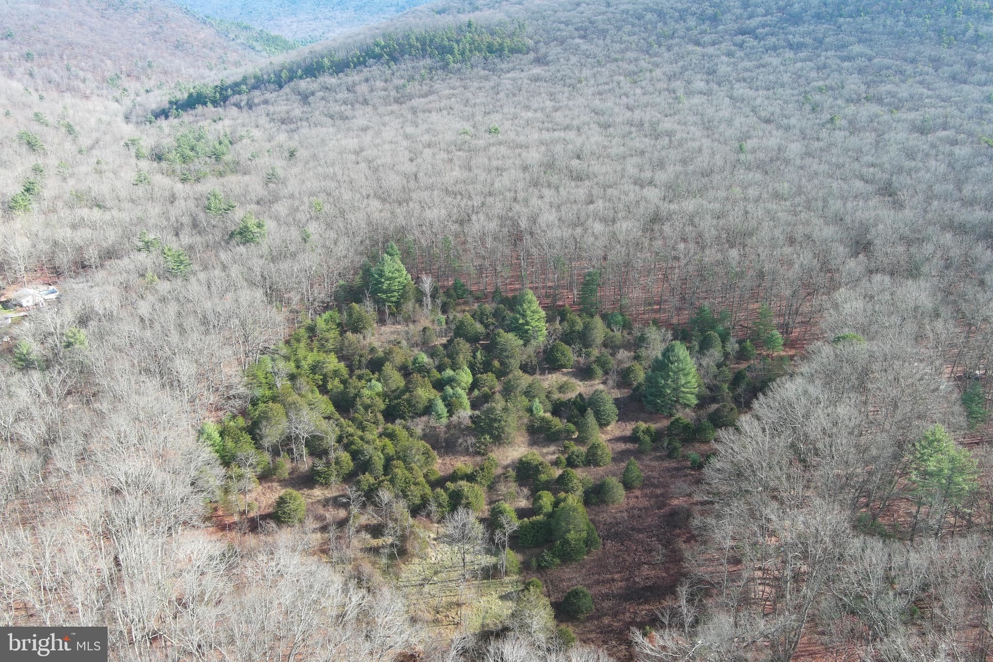 NONE UNRESTRICTED - Land