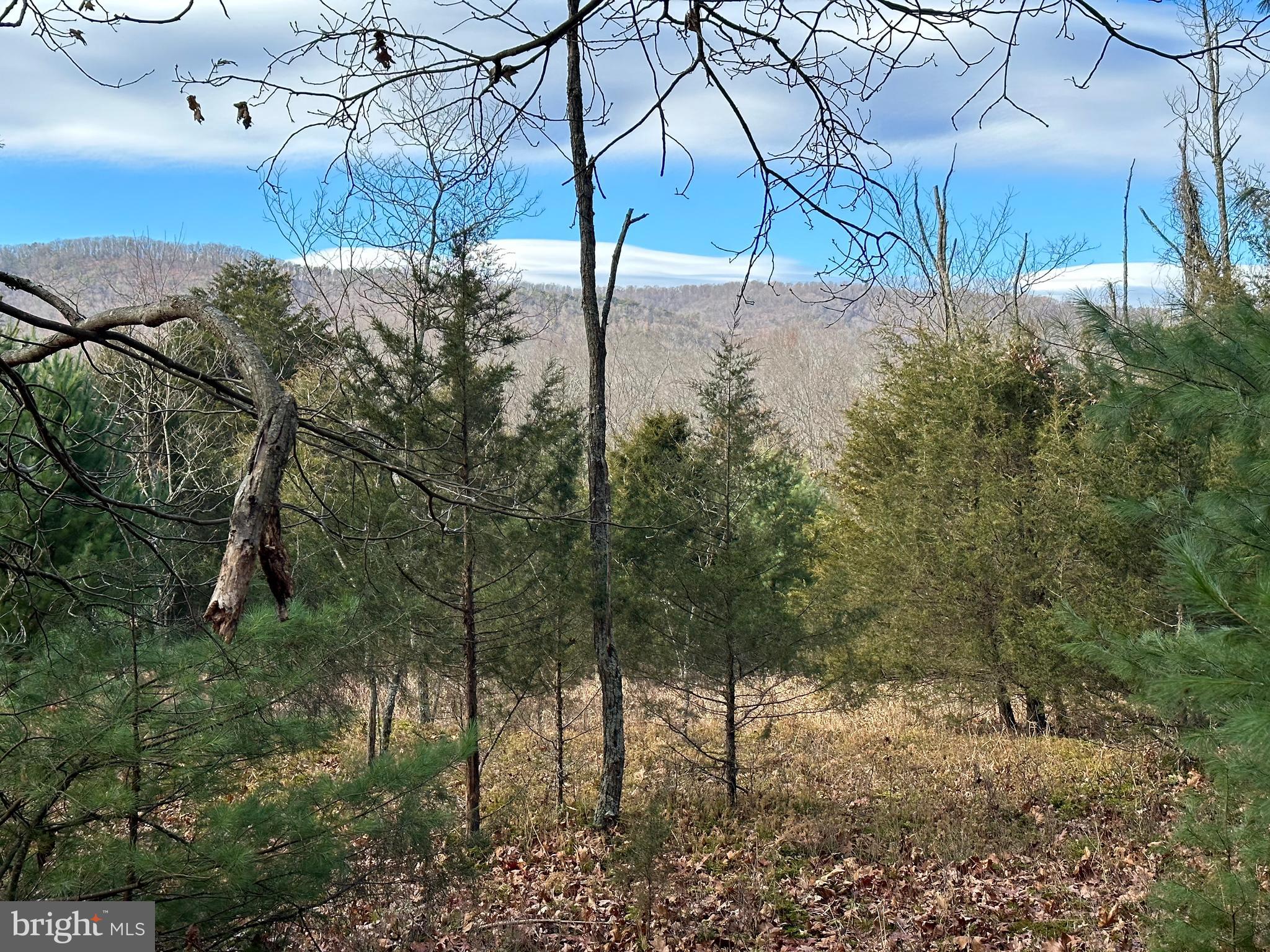 NONE UNRESTRICTED - Land