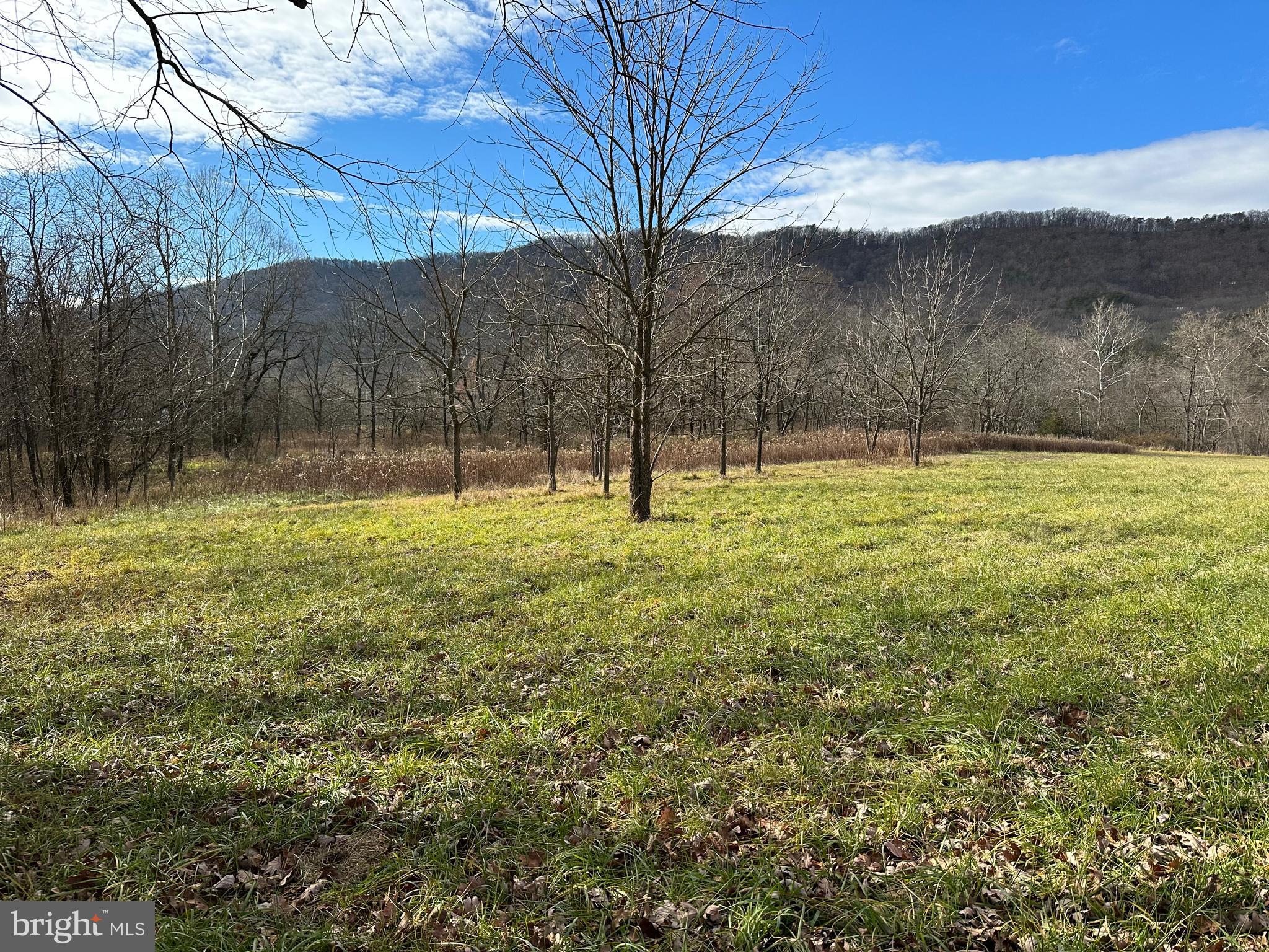 NONE UNRESTRICTED - Land