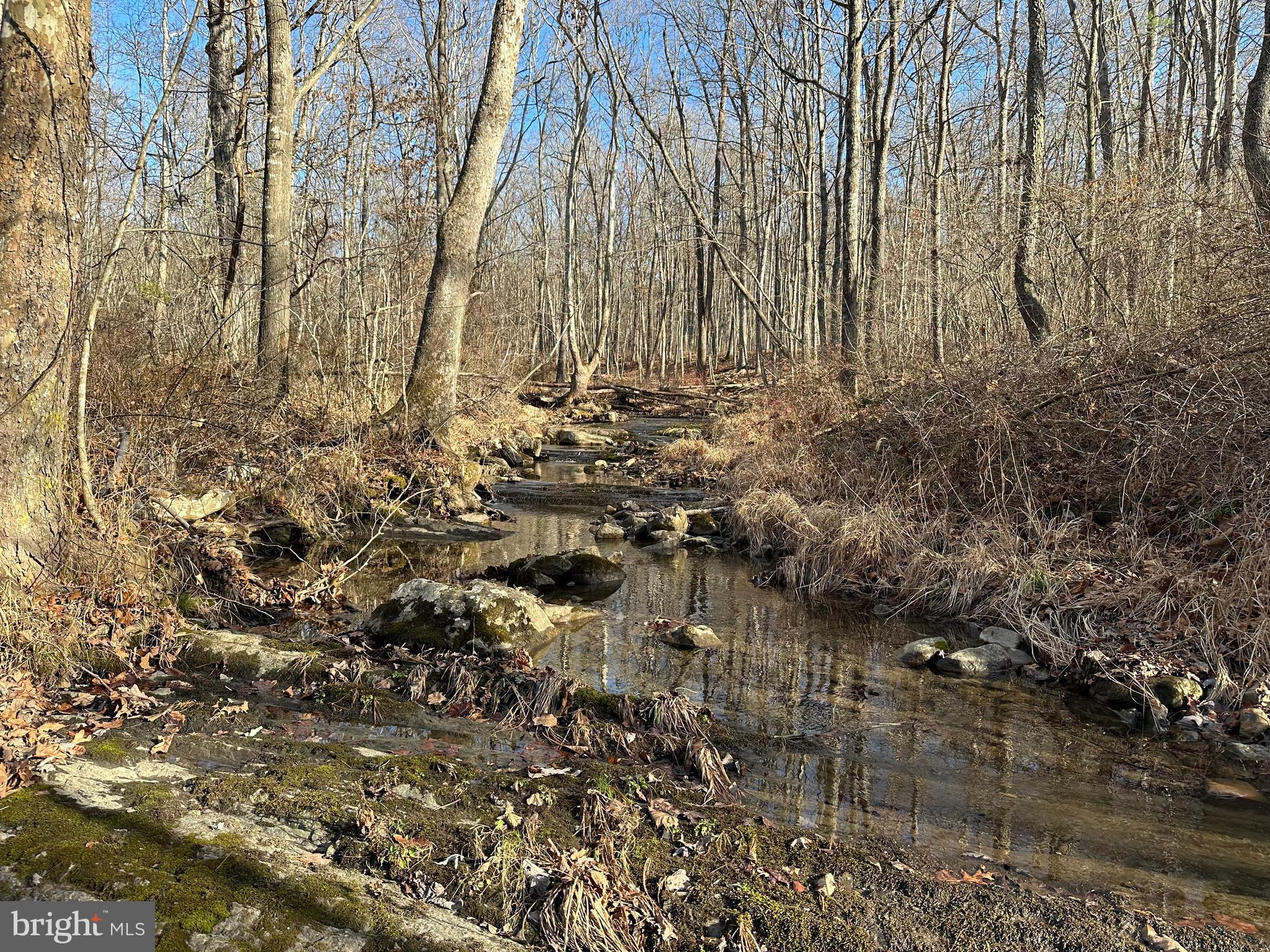 NONE UNRESTRICTED - Land