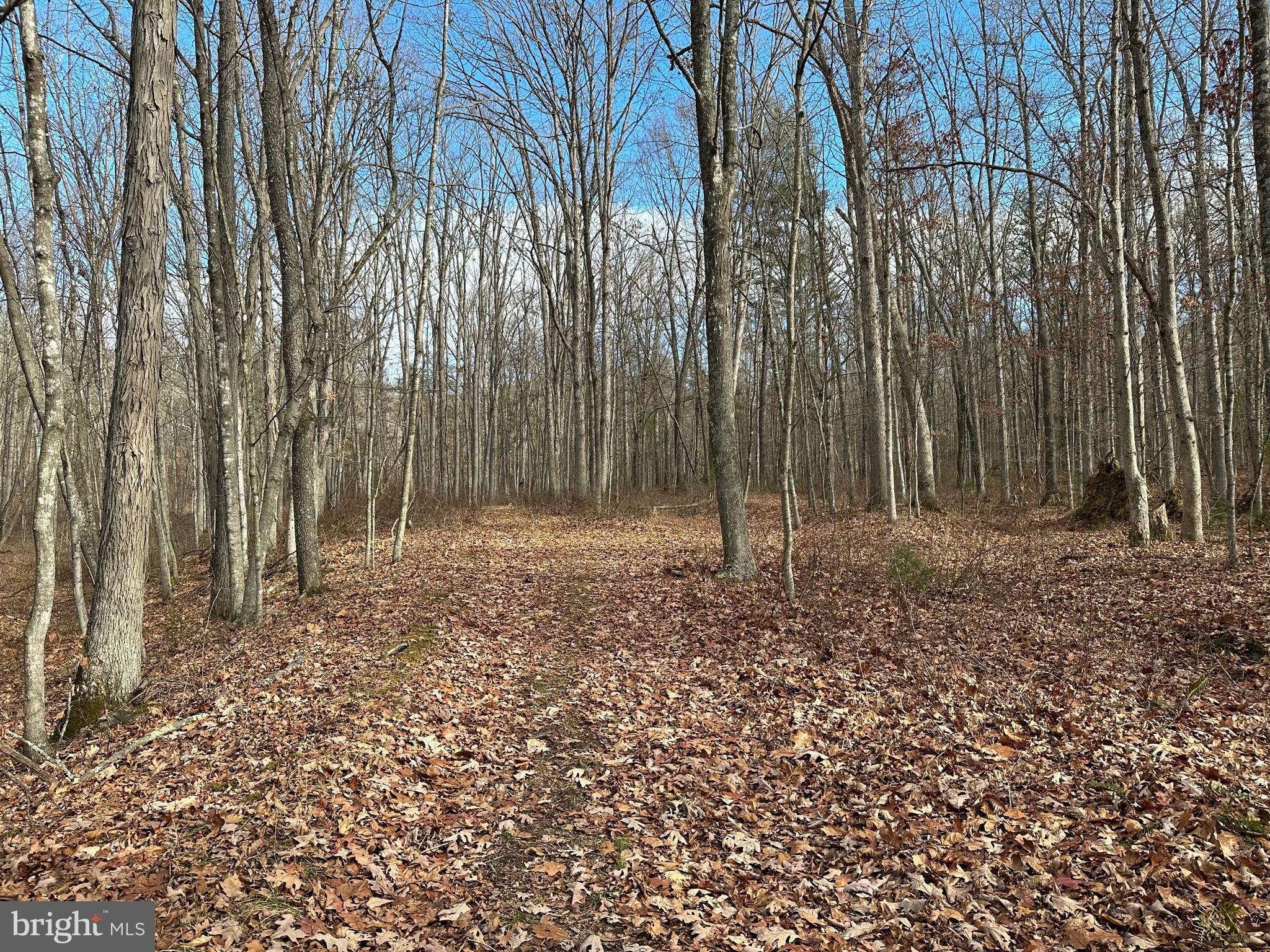 NONE UNRESTRICTED - Land