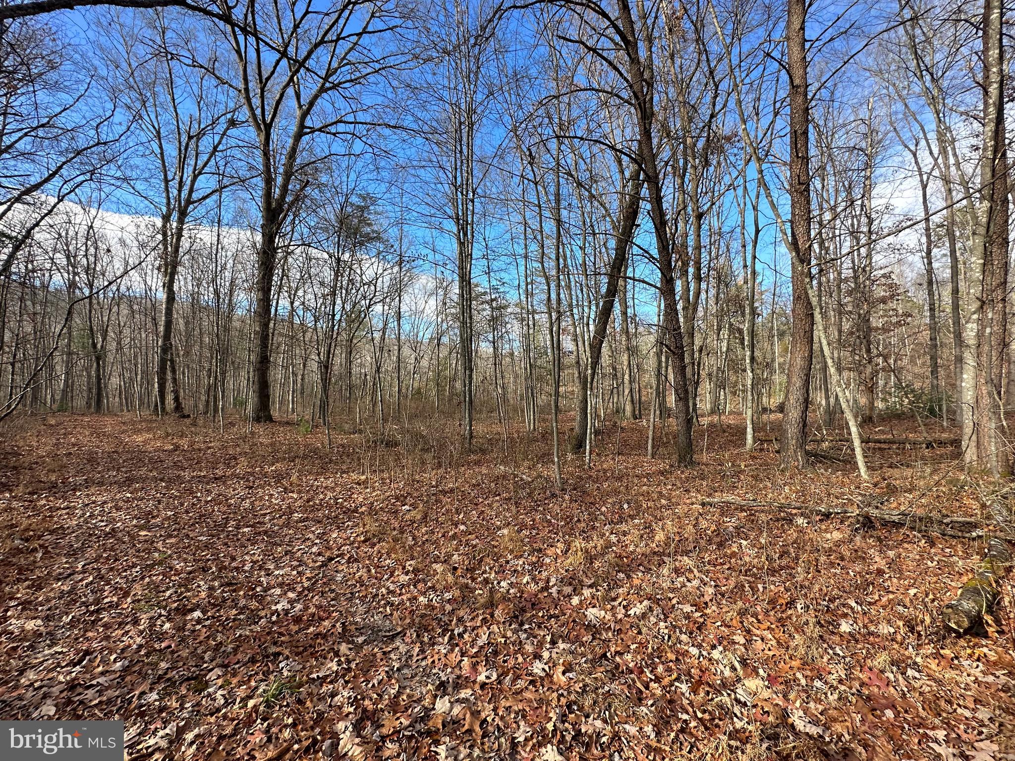 NONE UNRESTRICTED - Land