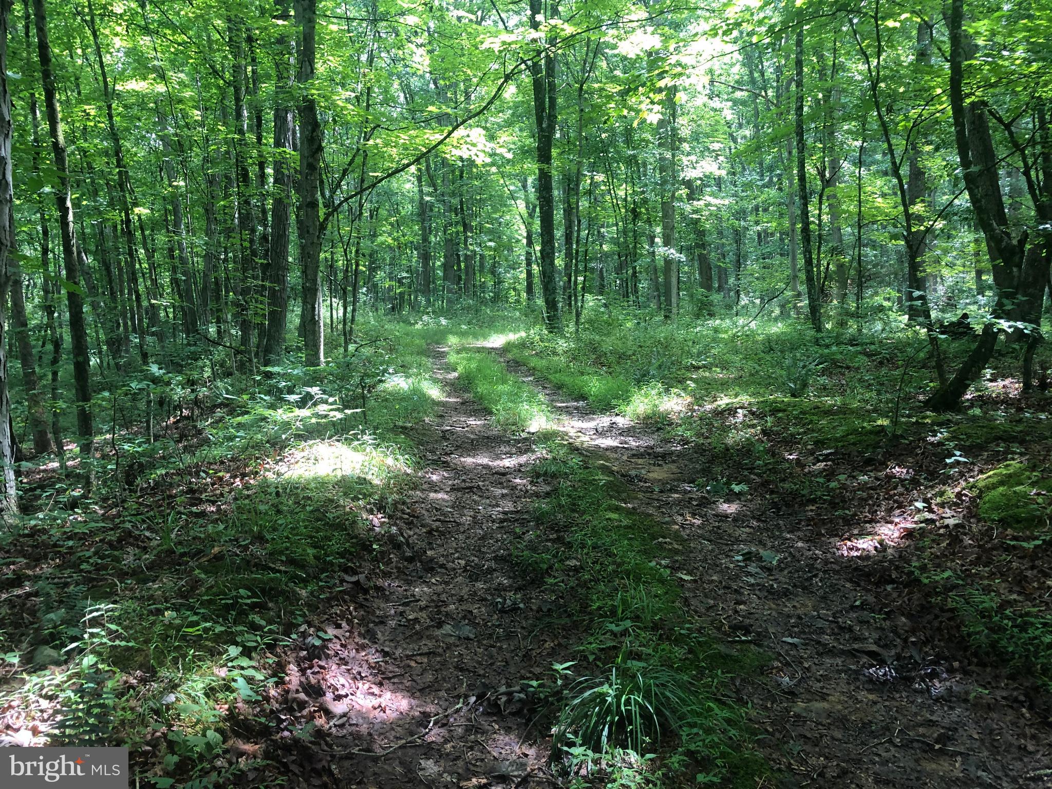 NONE UNRESTRICTED - Land