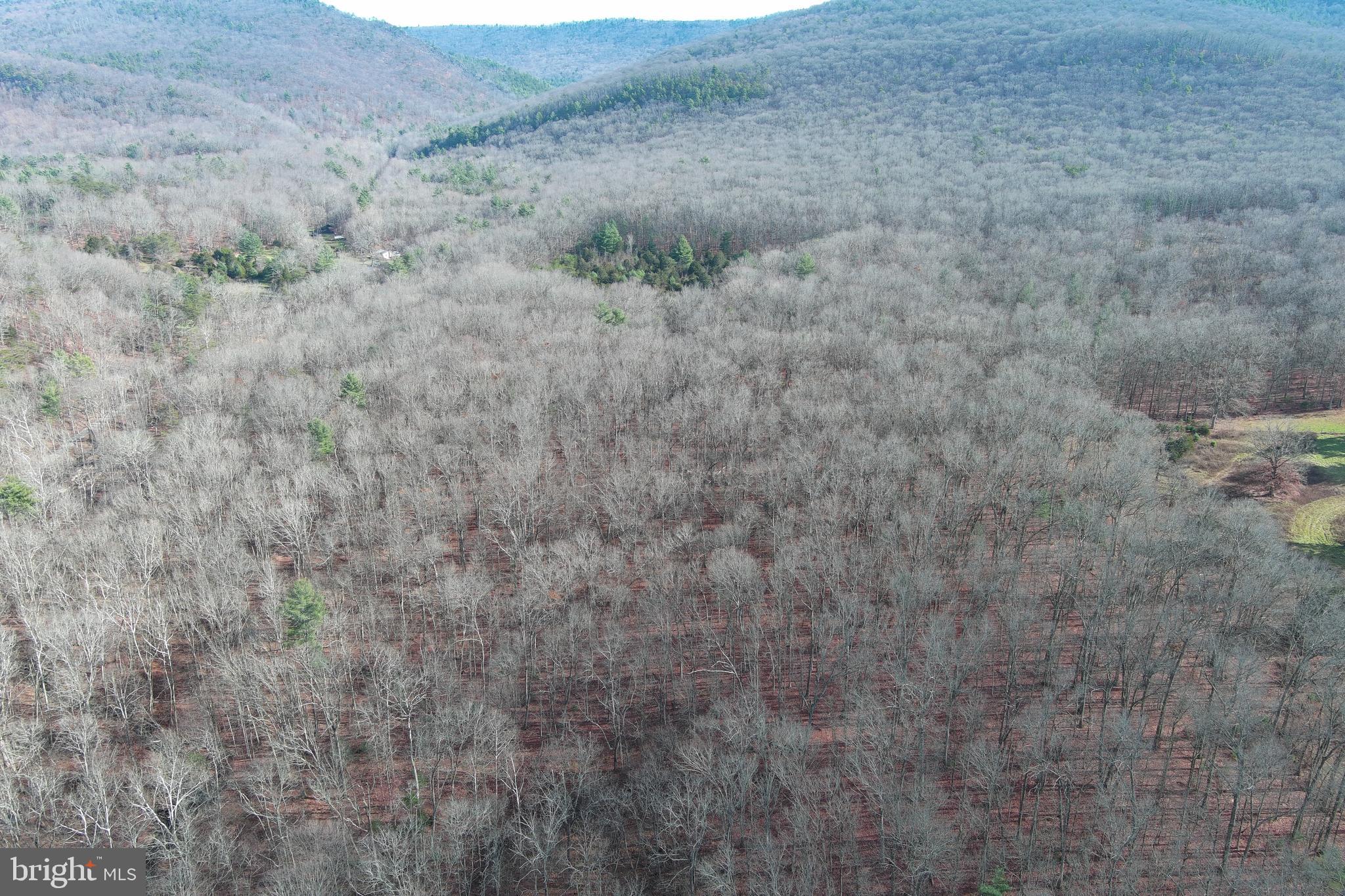 NONE UNRESTRICTED - Land