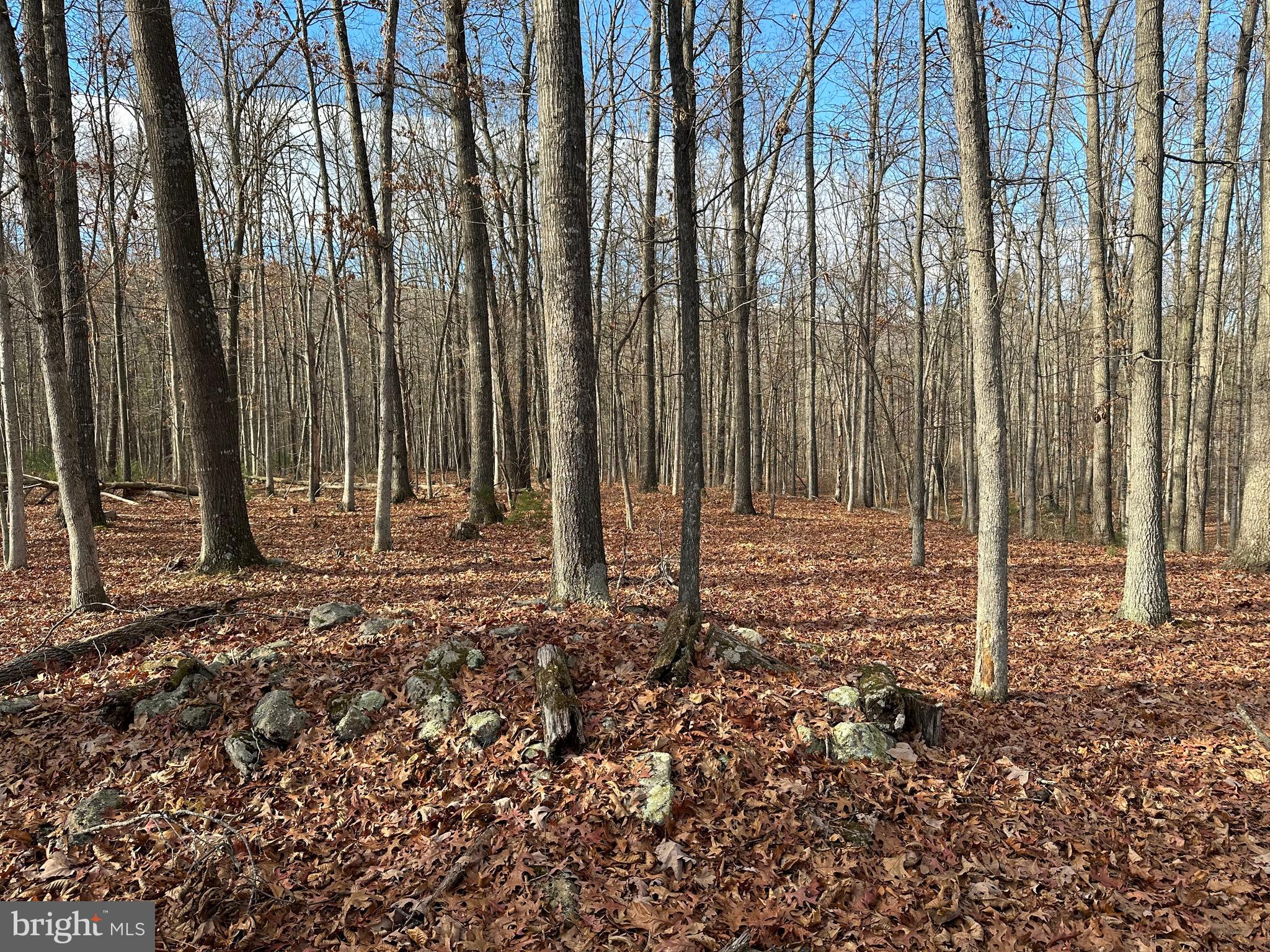 NONE UNRESTRICTED - Land