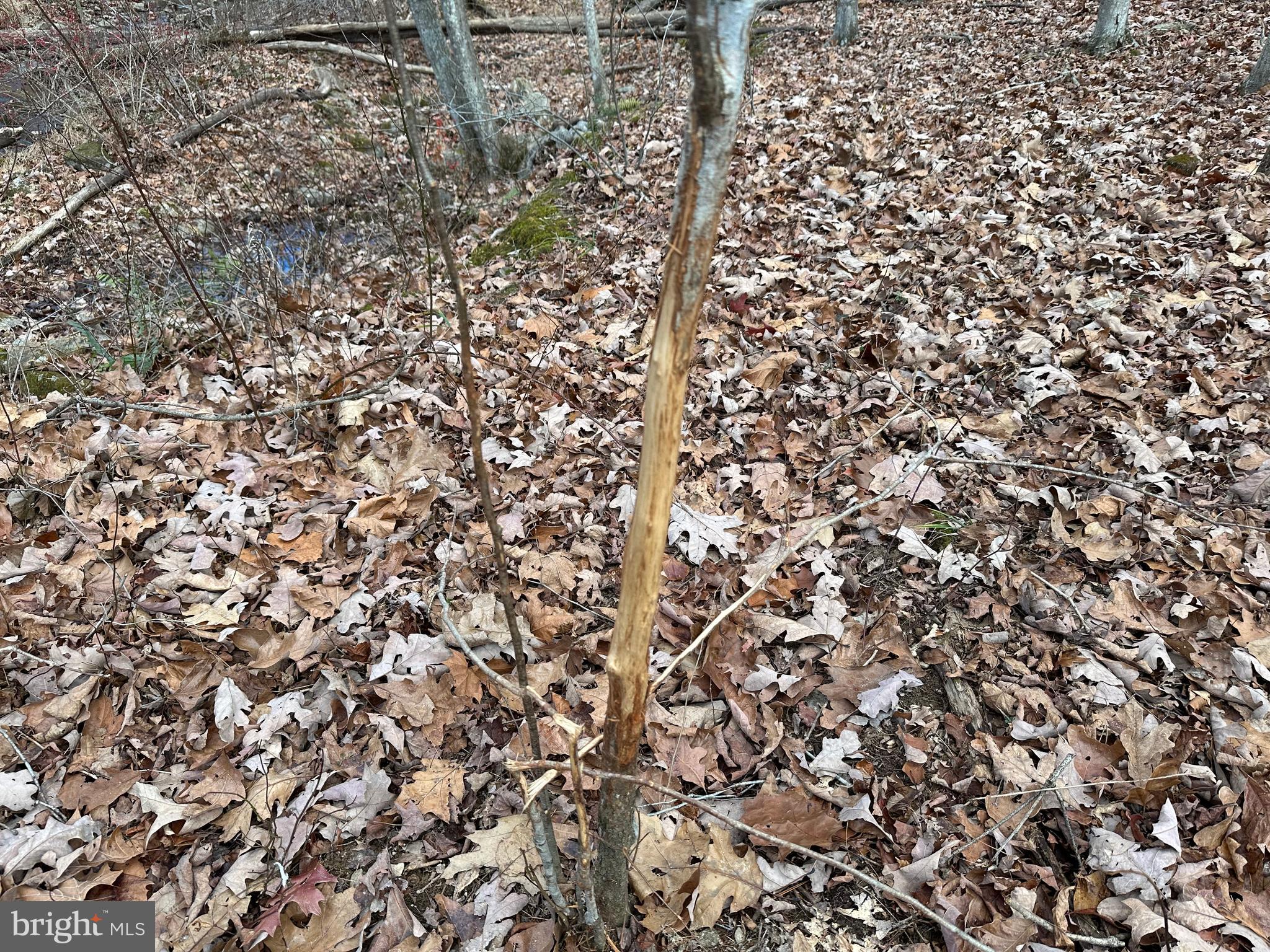 NONE UNRESTRICTED - Land