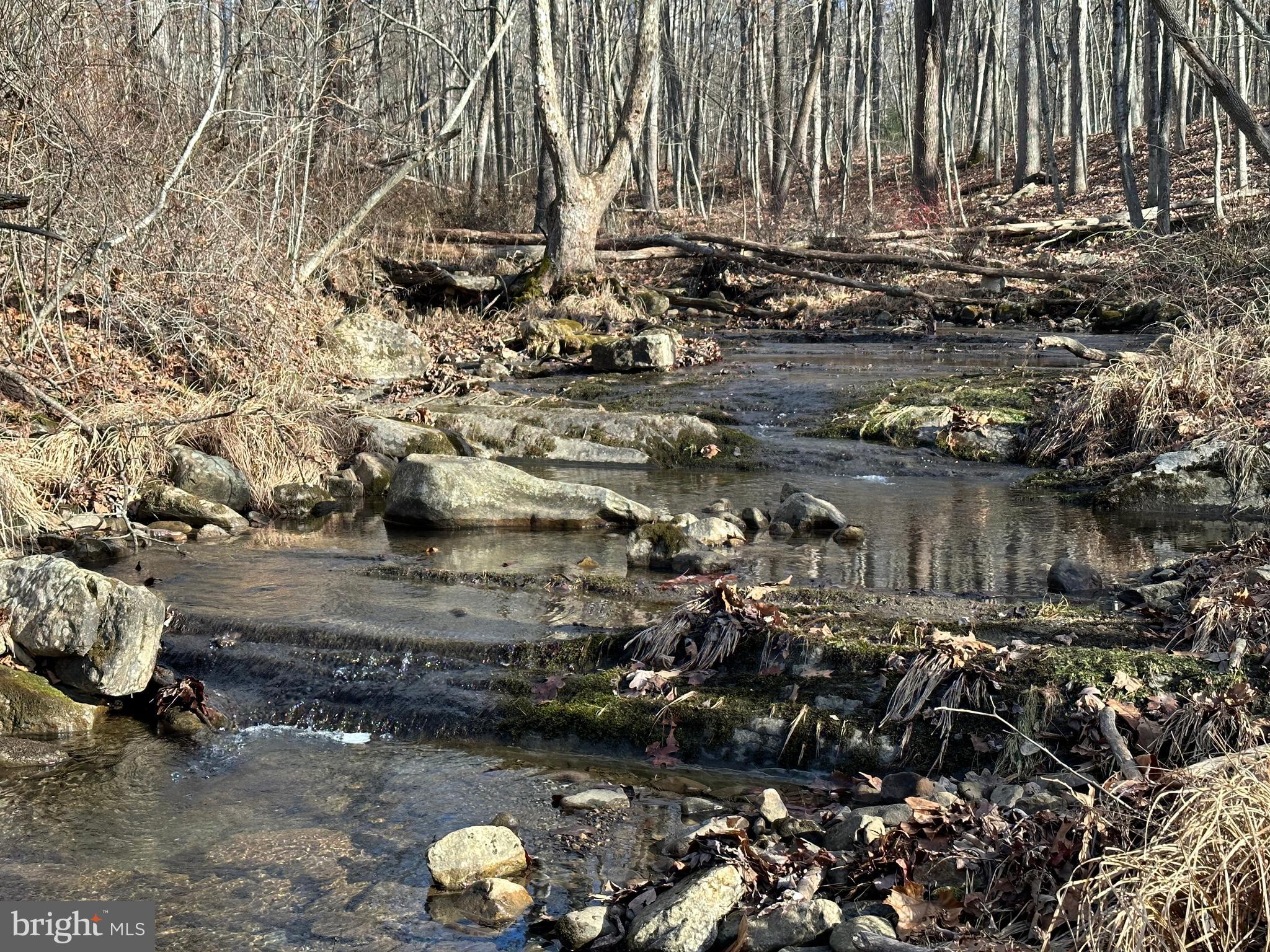 NONE UNRESTRICTED - Land