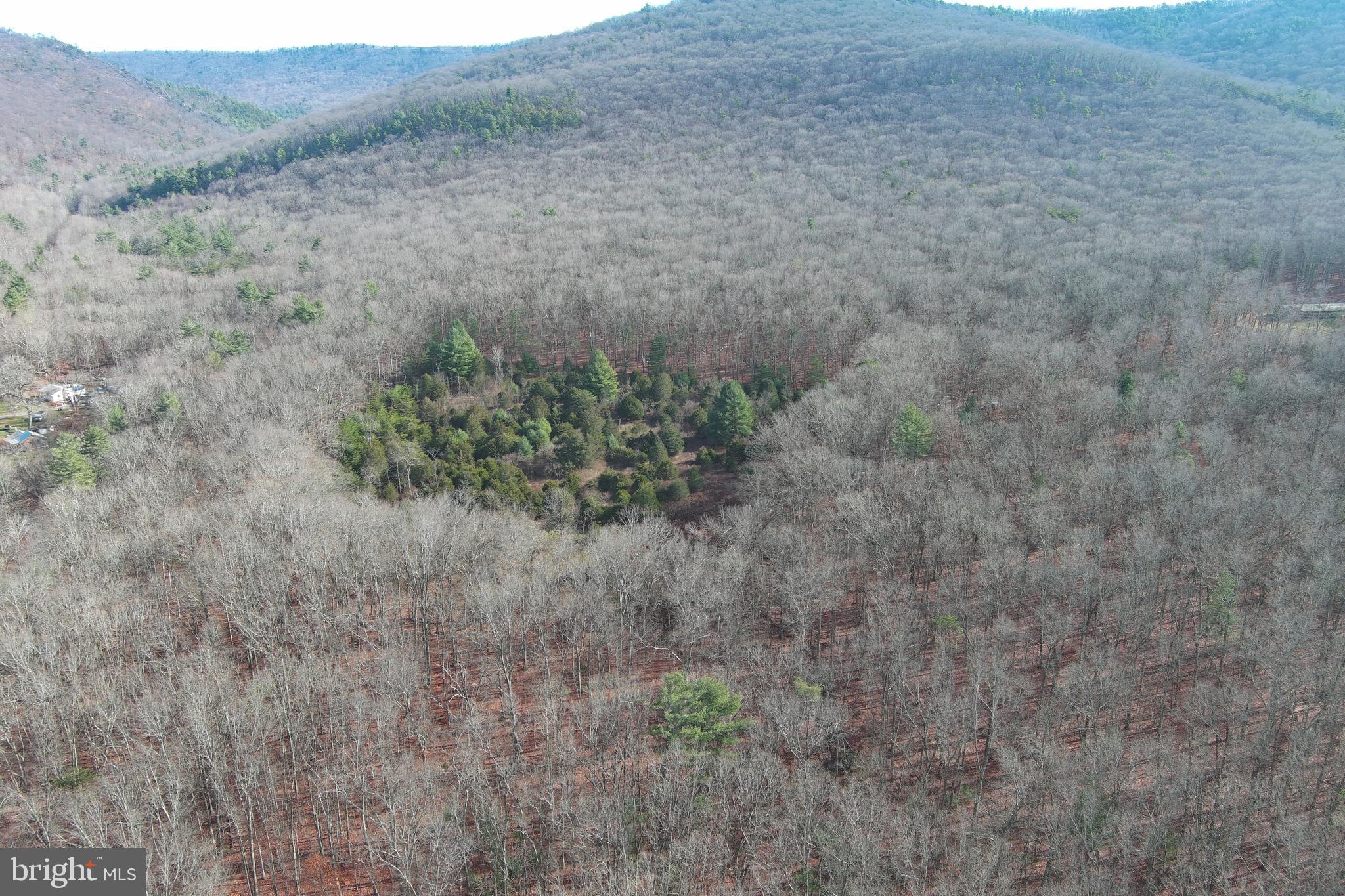 NONE UNRESTRICTED - Land