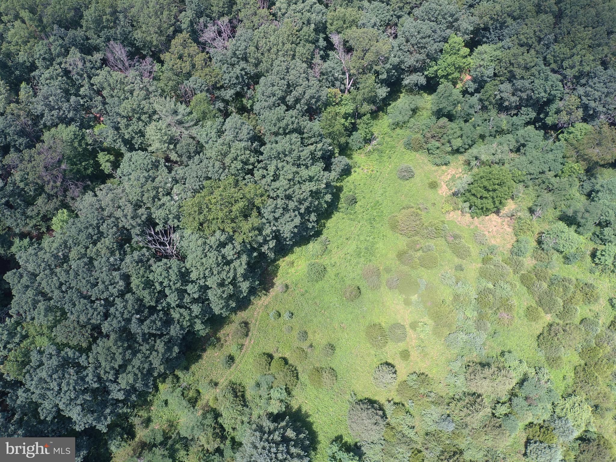 NONE UNRESTRICTED - Land