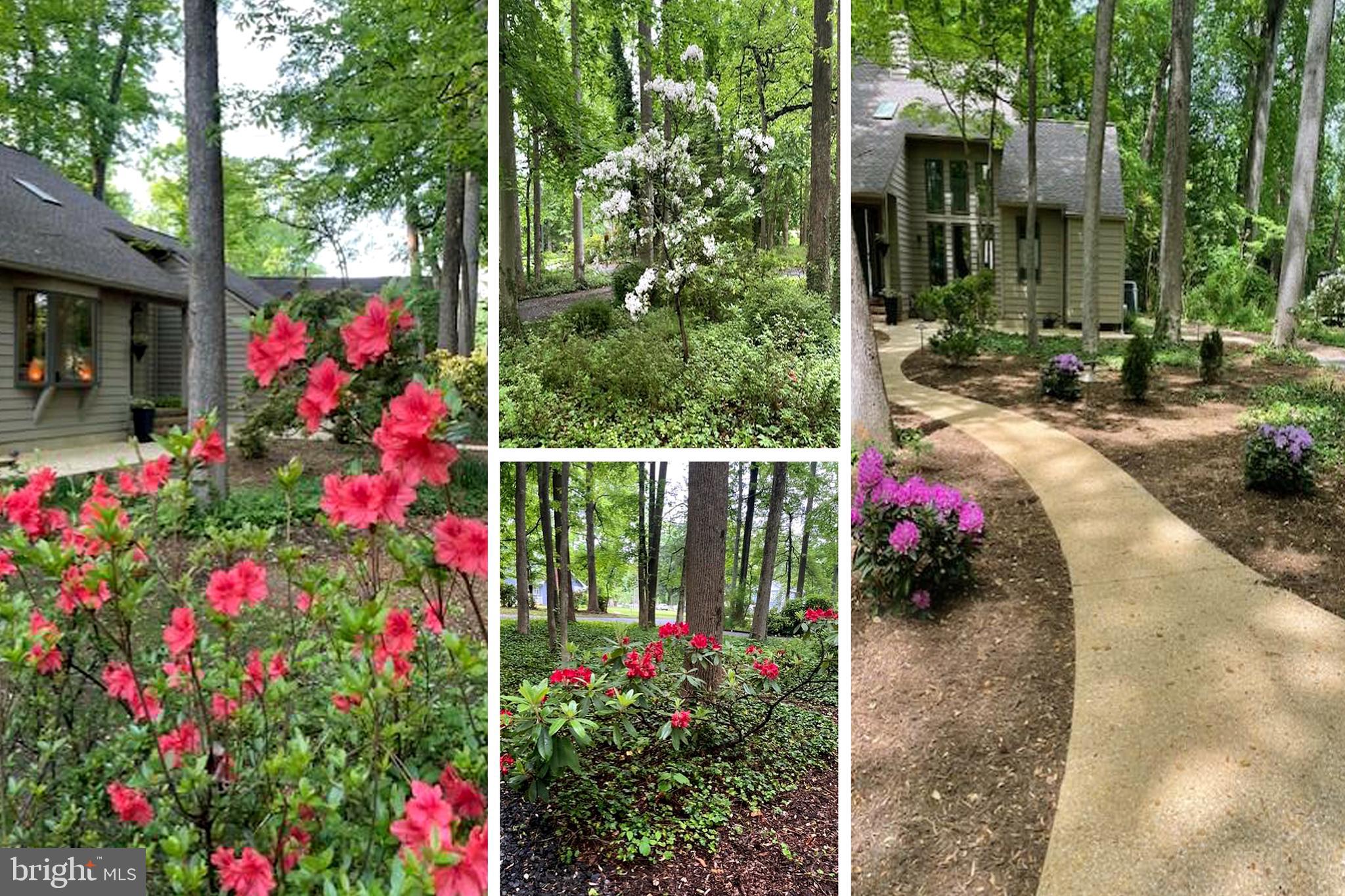 CAPE ST JOHN - Residential