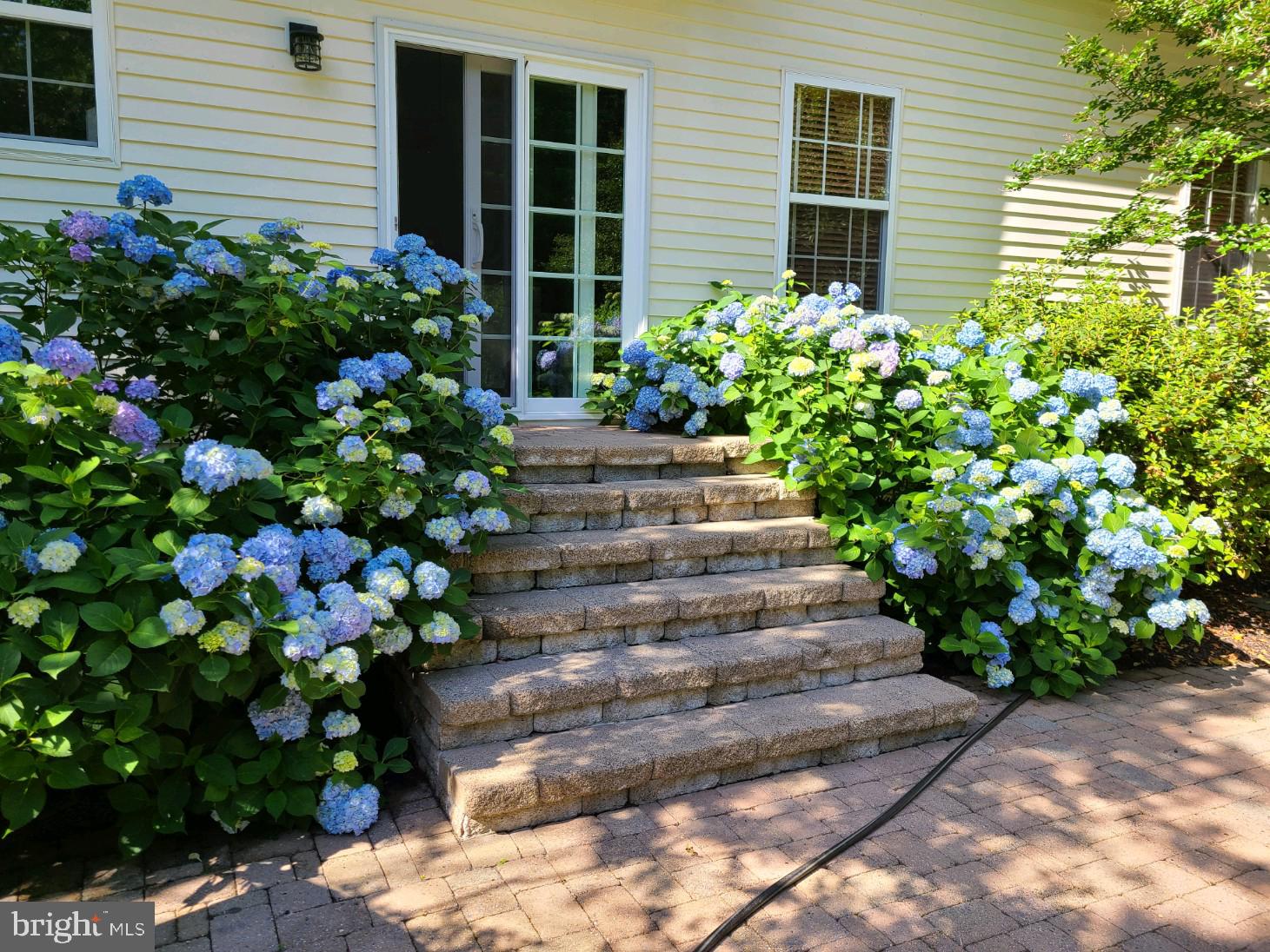 ISLAND CREEK WOODS - Residential