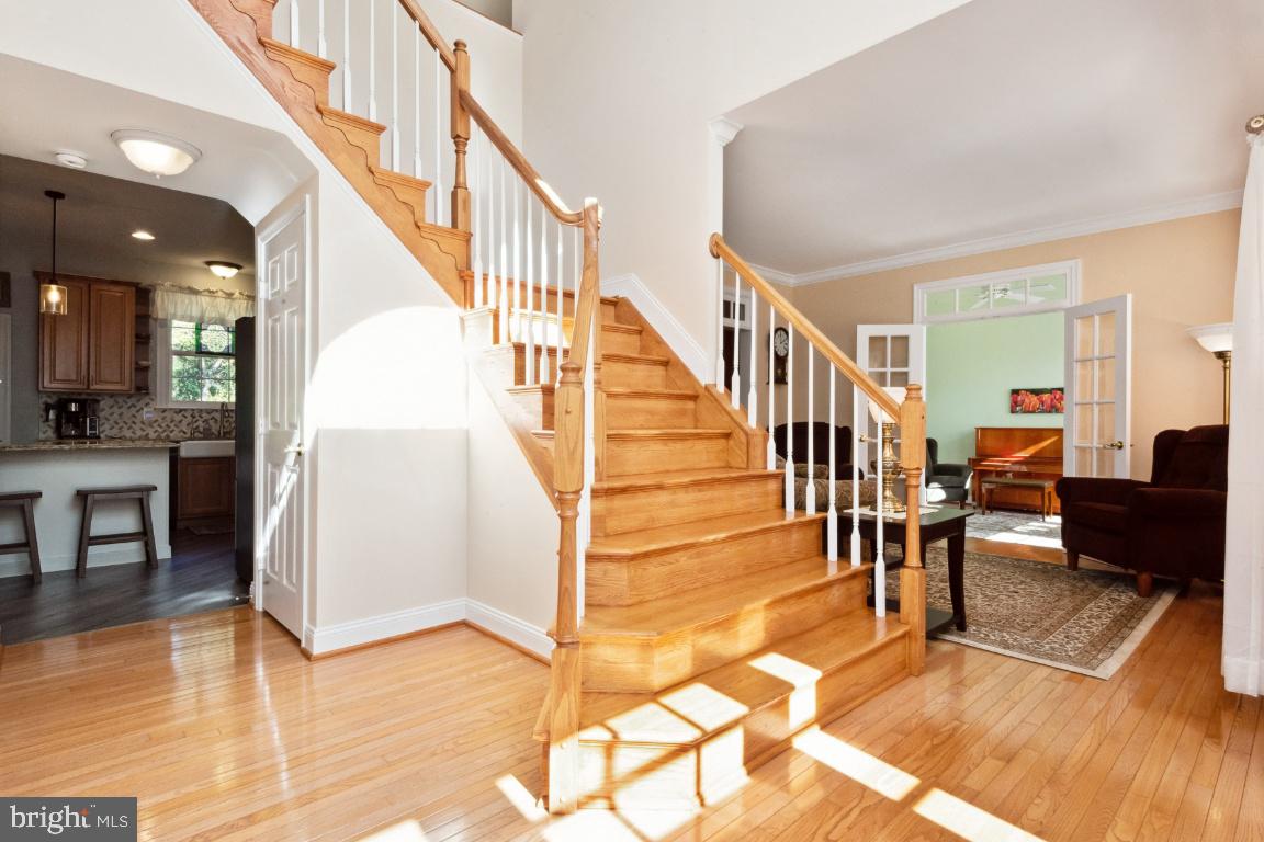 ISLAND CREEK WOODS - Residential