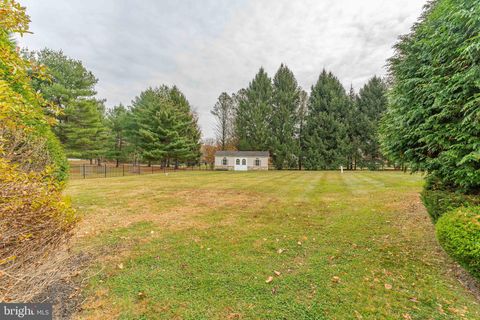 listing image 79