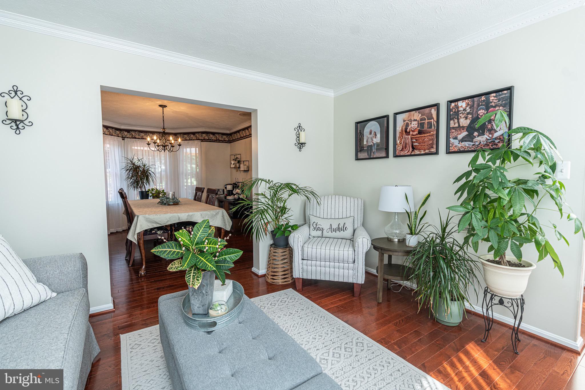 CONSTANT FRIENDSHIP - Residential