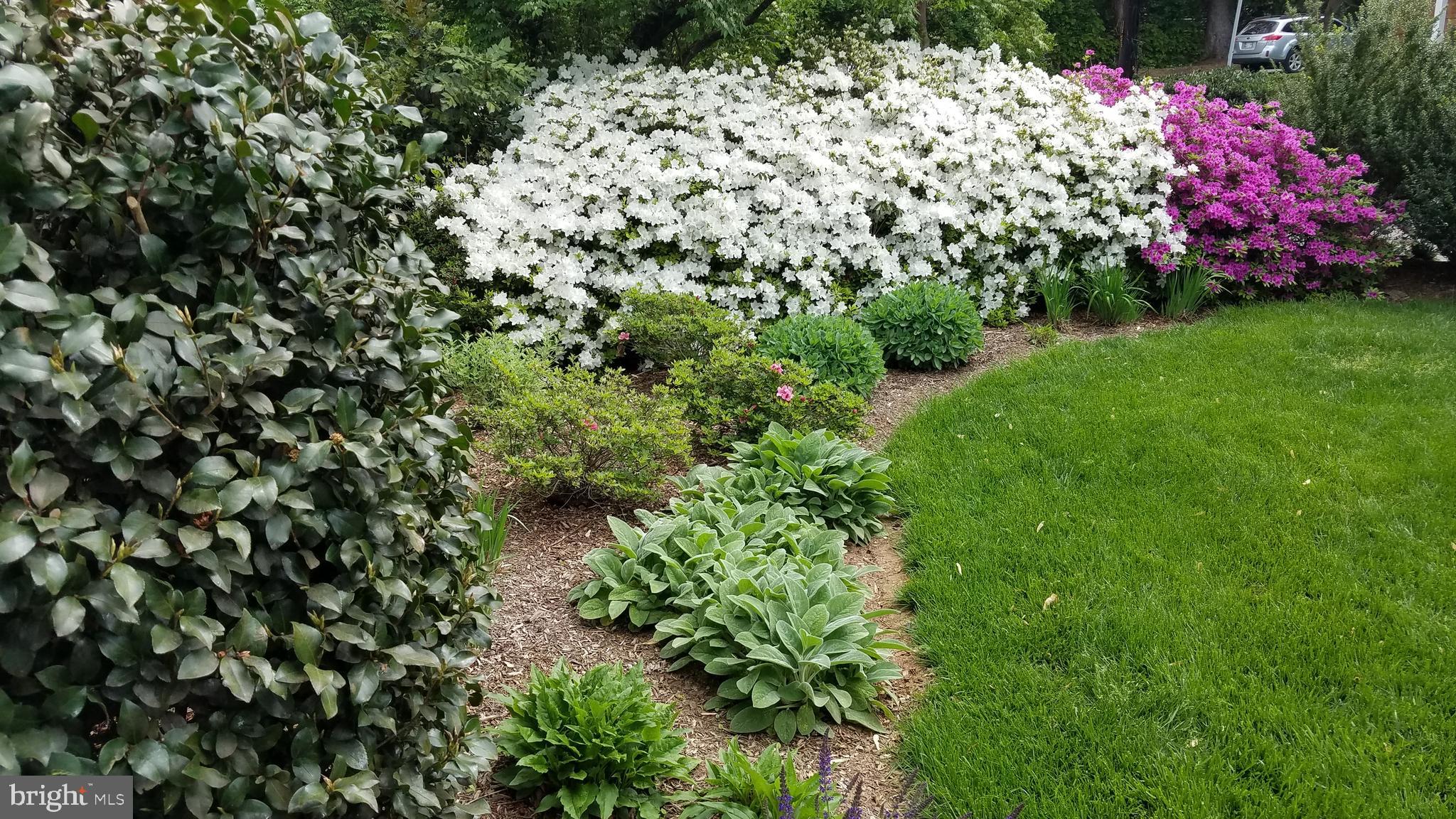 GLEN COVE - Residential