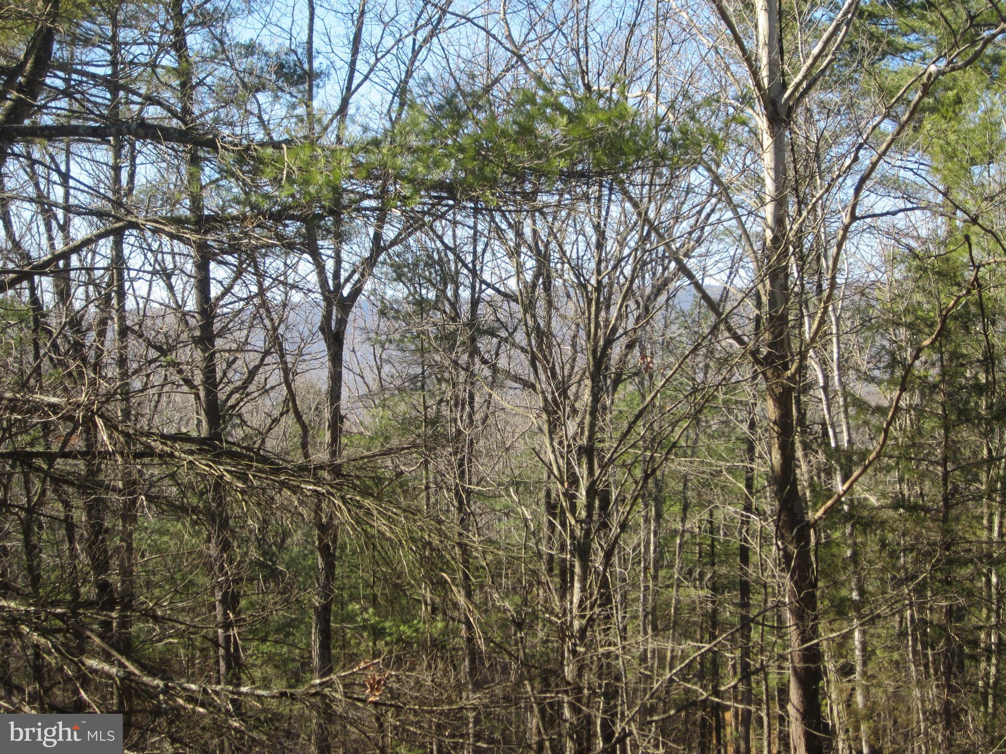 BRYCE  MOUNTAIN - Residential